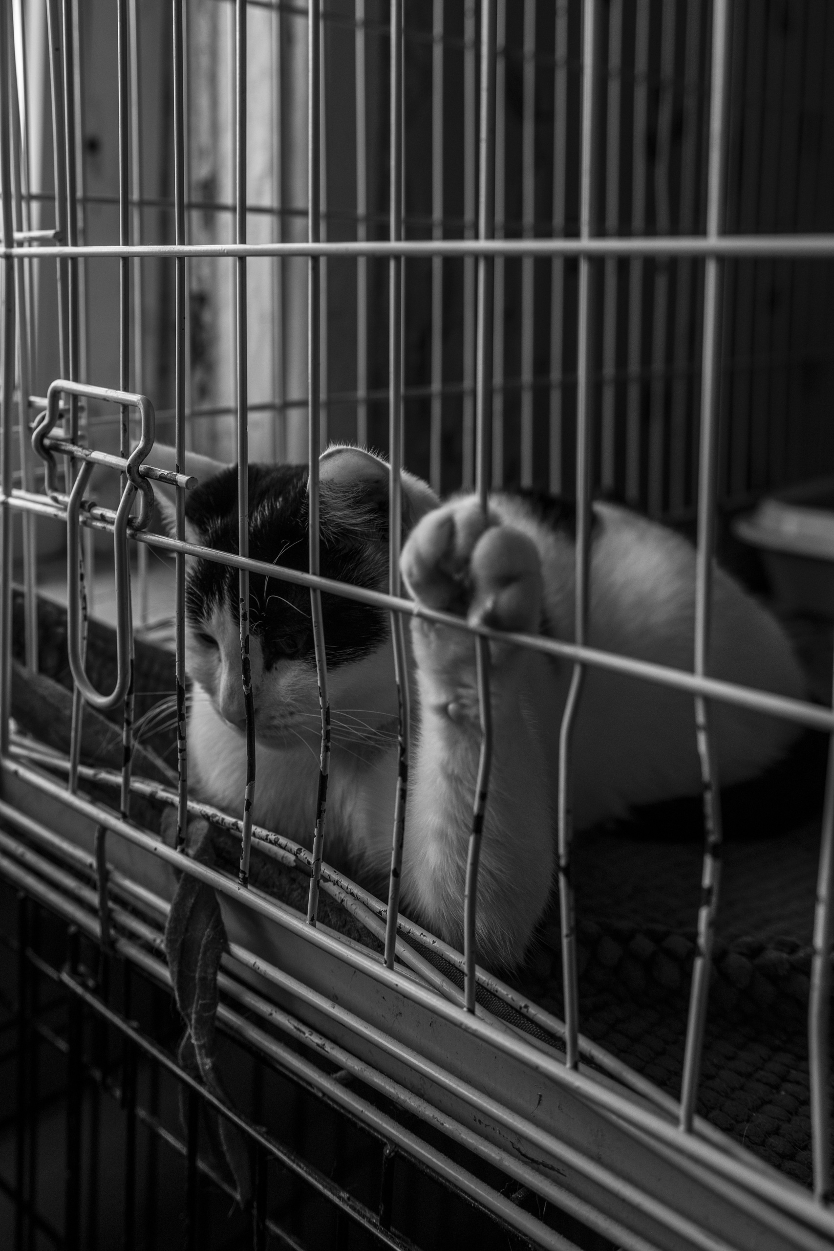 Место, где свет. Plechinta Ekaterina — documentary photographer