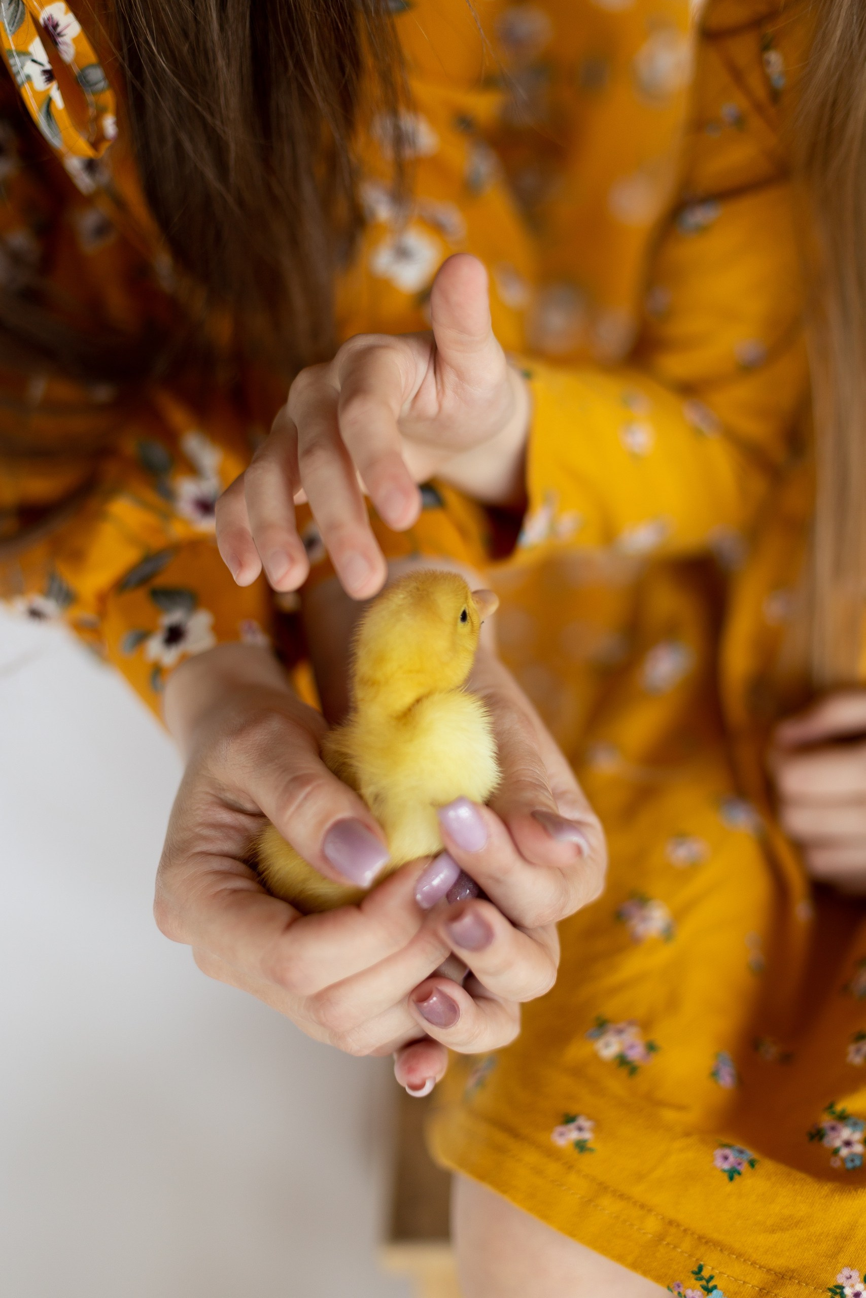 Экспресс фотосессии и фотодни в Балашихе и Железнодорожном