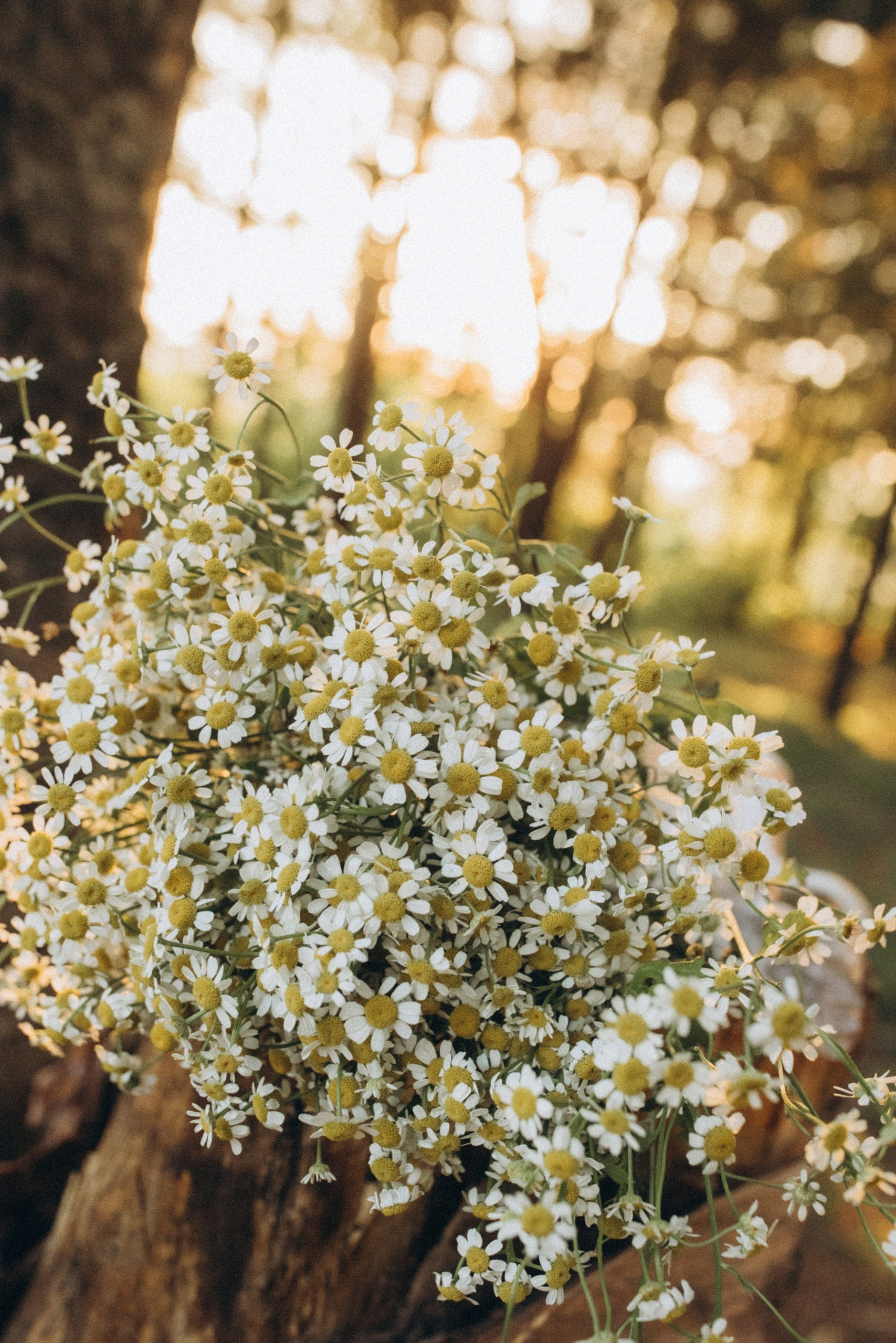 Детский и семейный фотограф во Владивостоке. Светлана Иркова