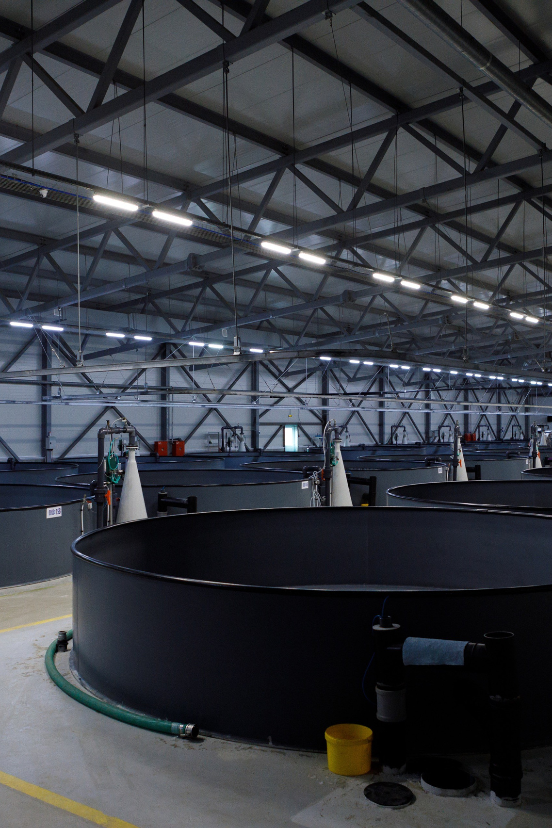 Коммерческий фотограф в Москве — Антон Ермаков