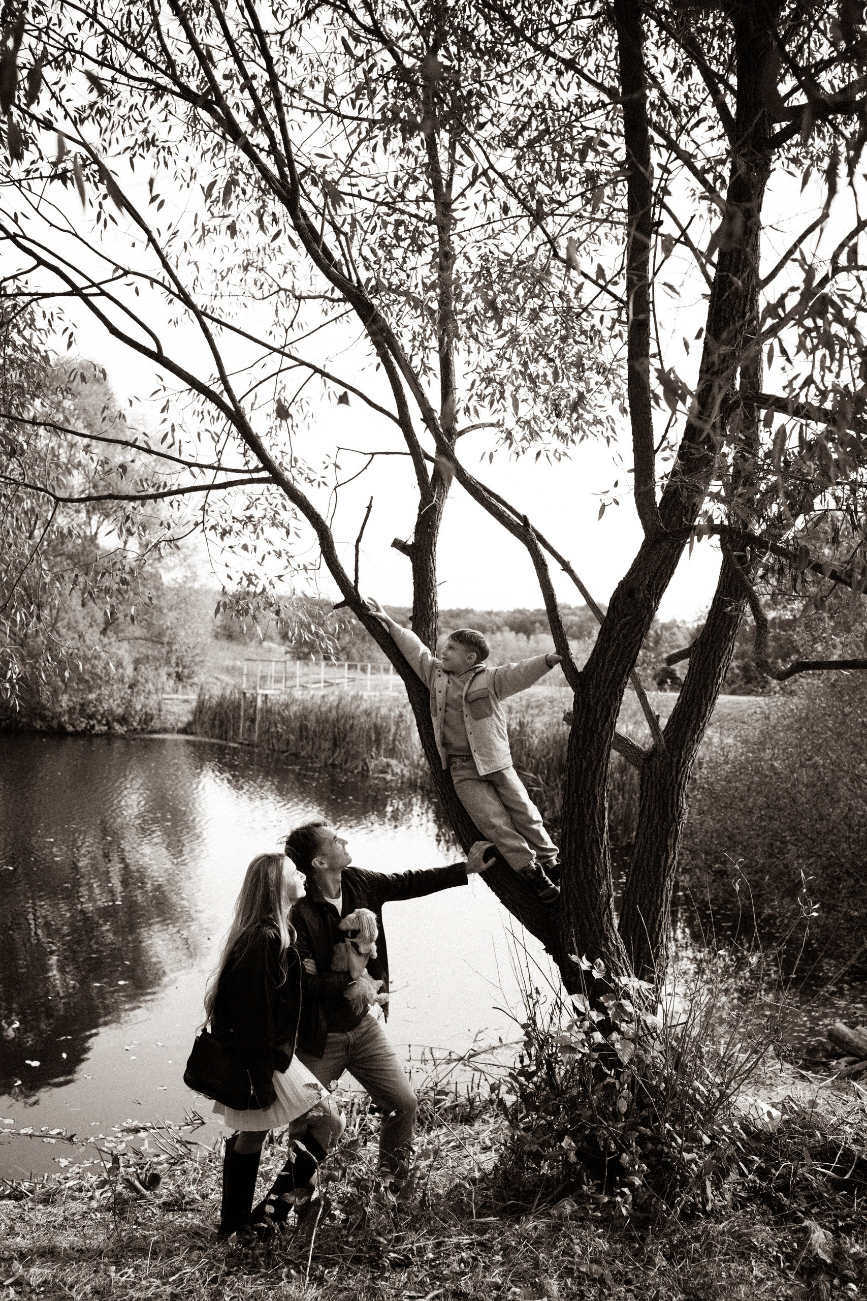 Услуги. Главная