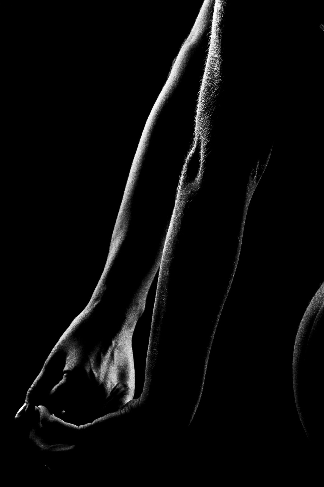 Фотограф Антон Джавадян