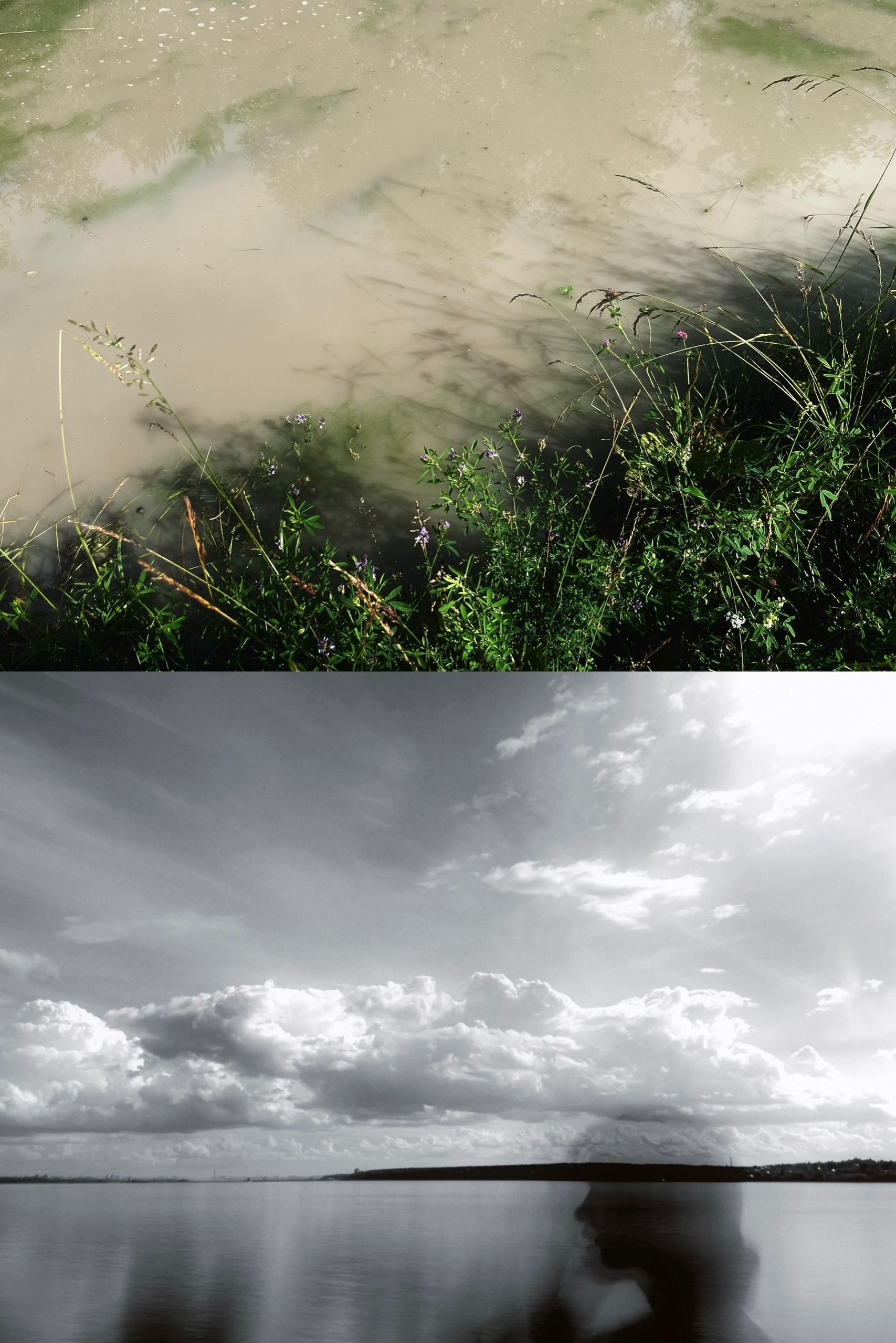 Фотоальбом: Алхимия Жизни. VITA · visual therapy arts