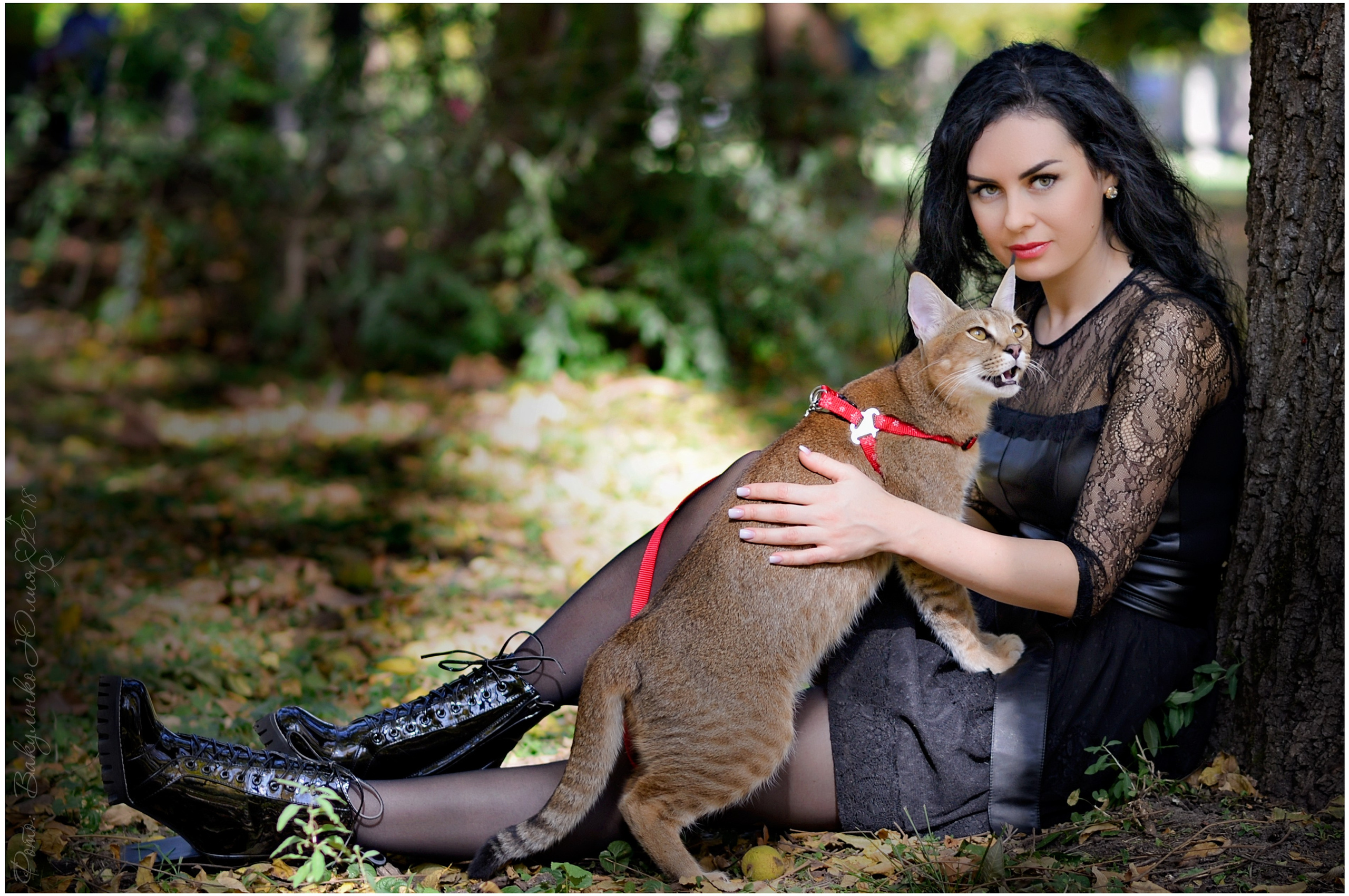 Услуги. Фотограф анималист | семейный Юлия Вакуленко, г. Краснодар