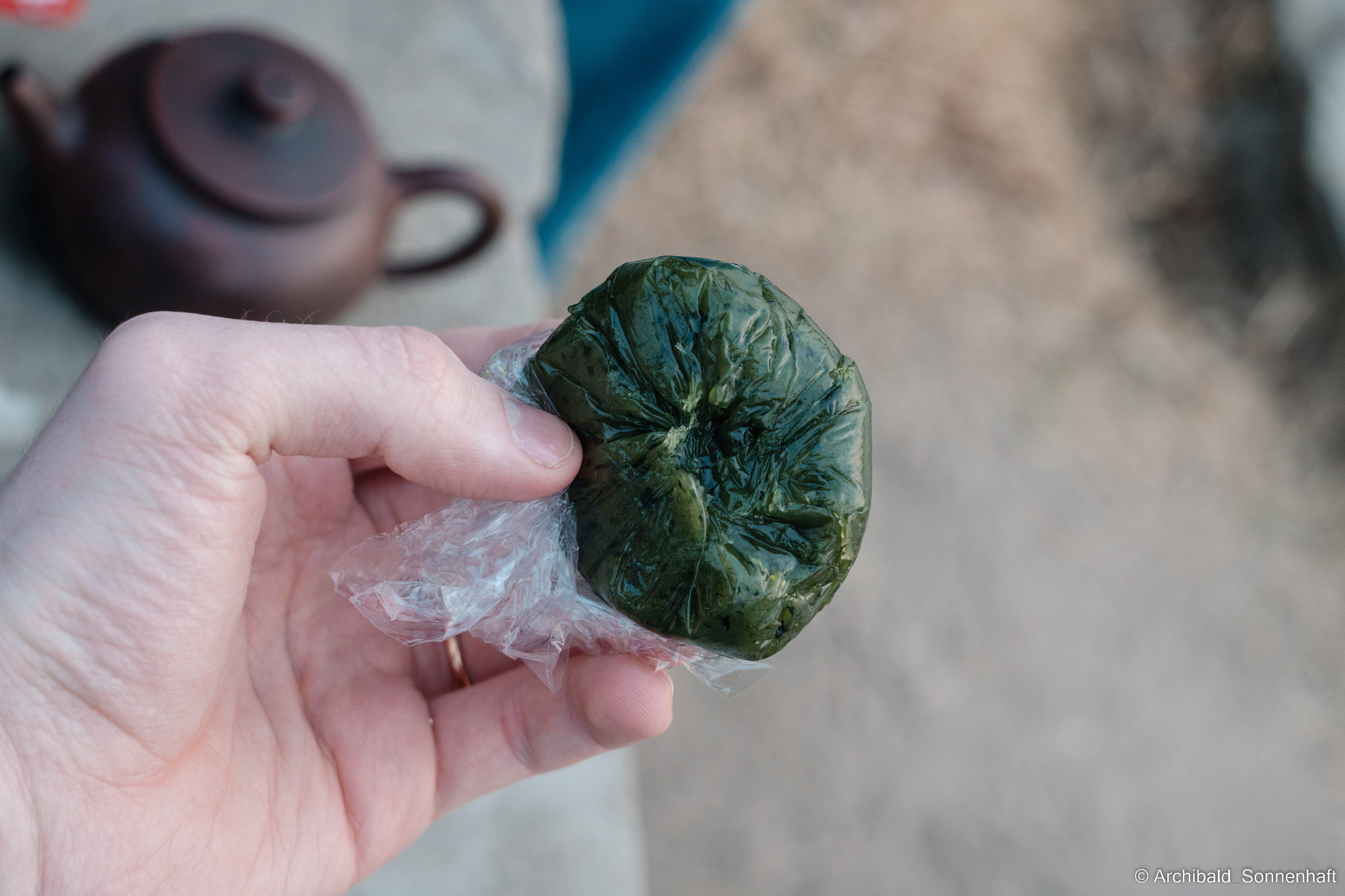 Park, tea and cats. Photographer in Guangzhou, China. Archibald Sonnenhaft