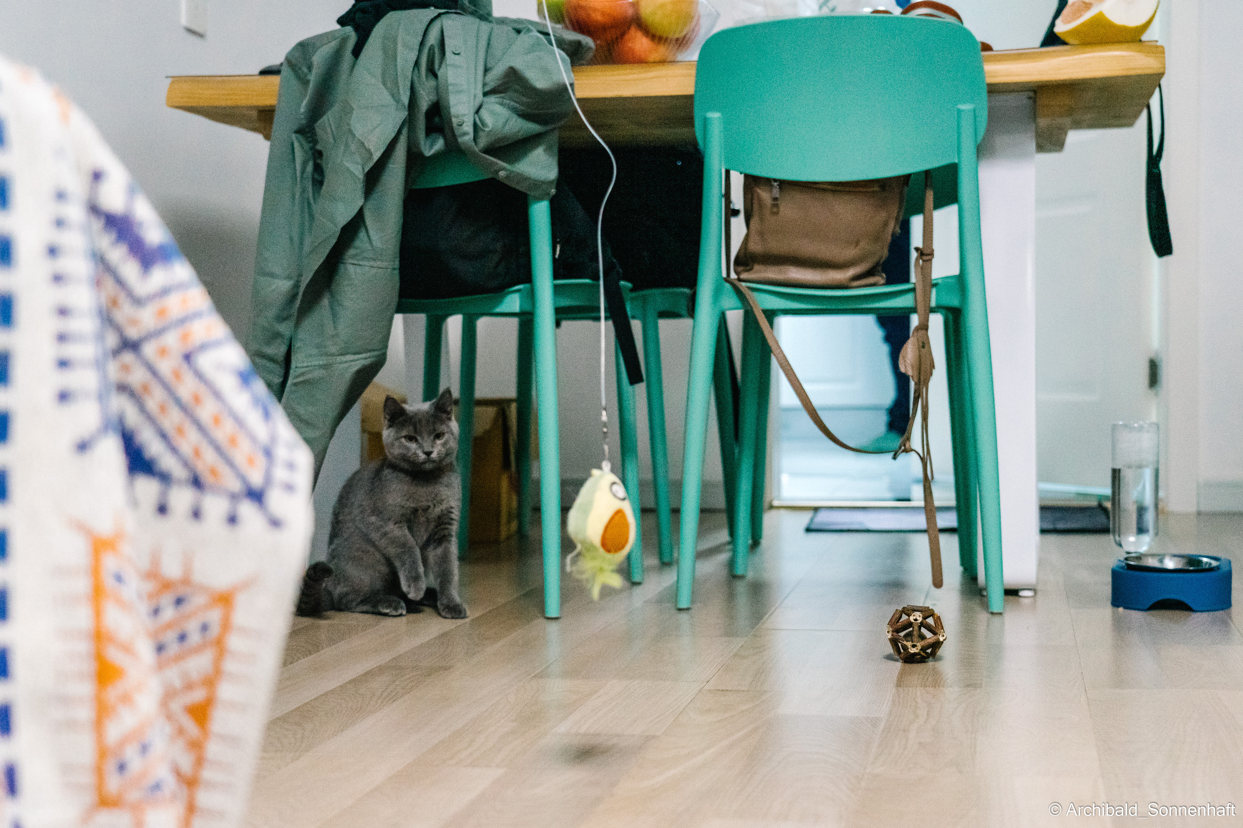 Chinese and Kyrgyzstan’s family!. Photographer in Guangzhou, China. Archibald Sonnenhaft