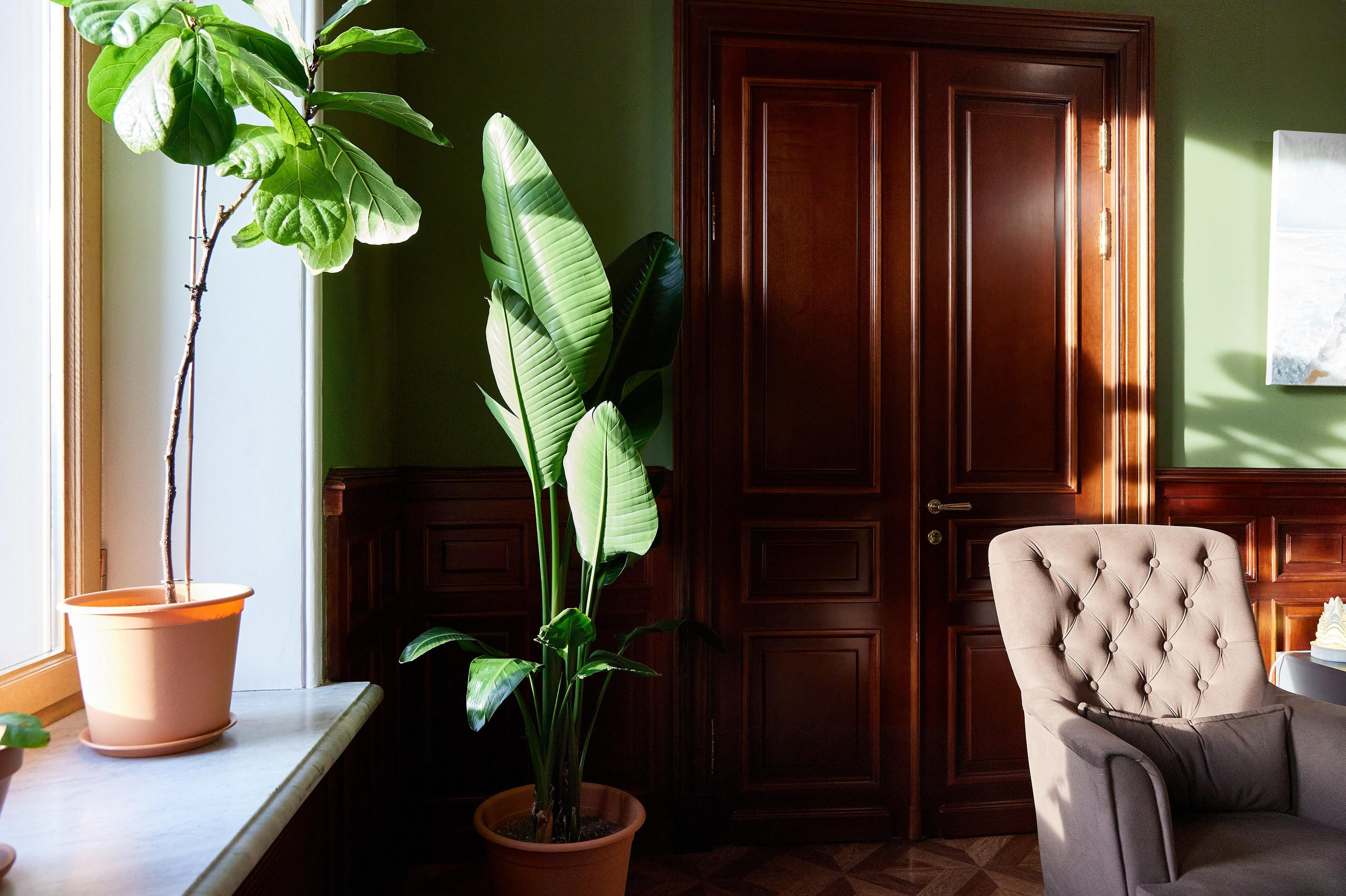 Фотограф Анастасия Леонтьева Санкт-Петербург