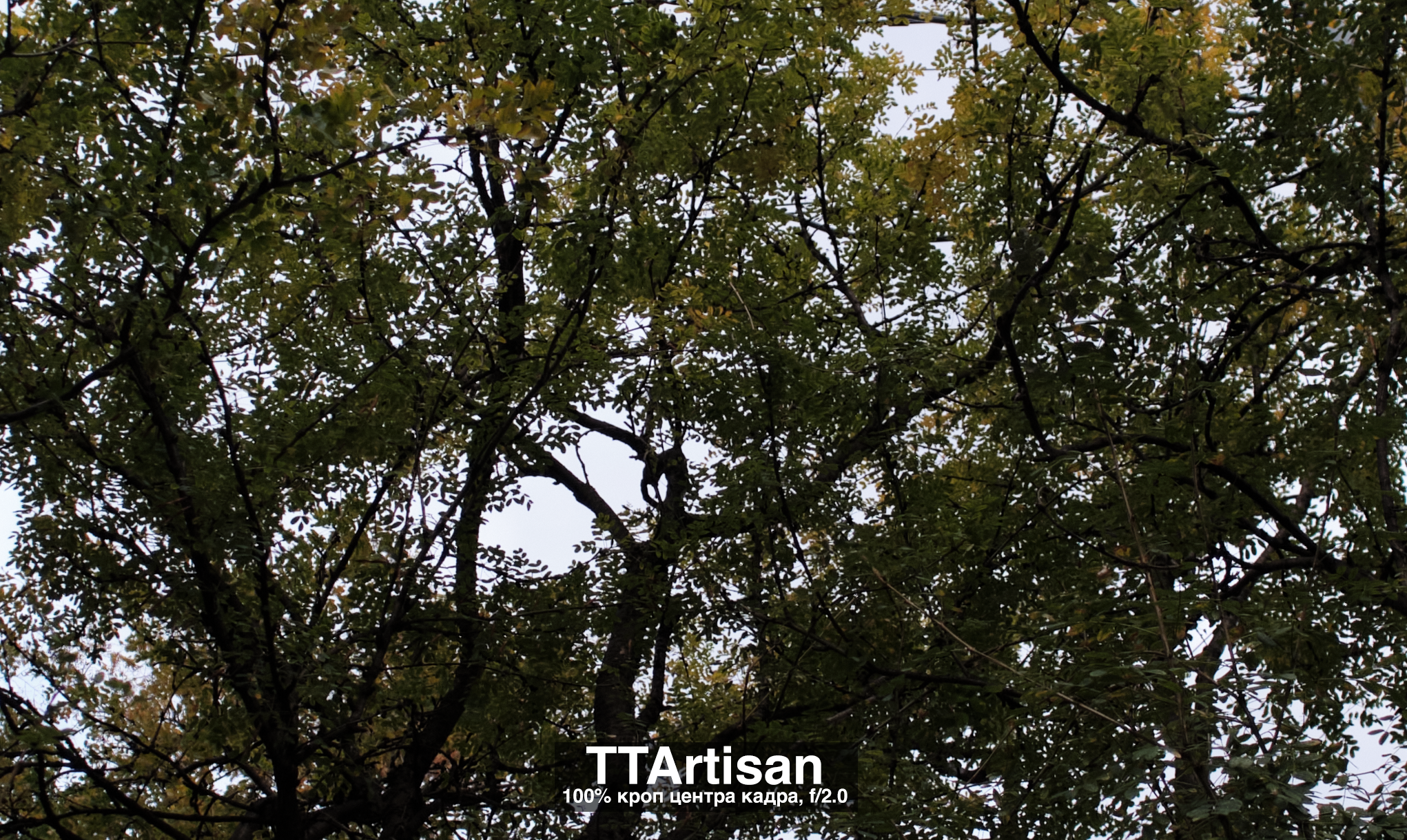 Сравнение объективов 7artisans 7,5/f2.8 и TTArtisan 7,5/f2.0. Фотограф Константин Шамин