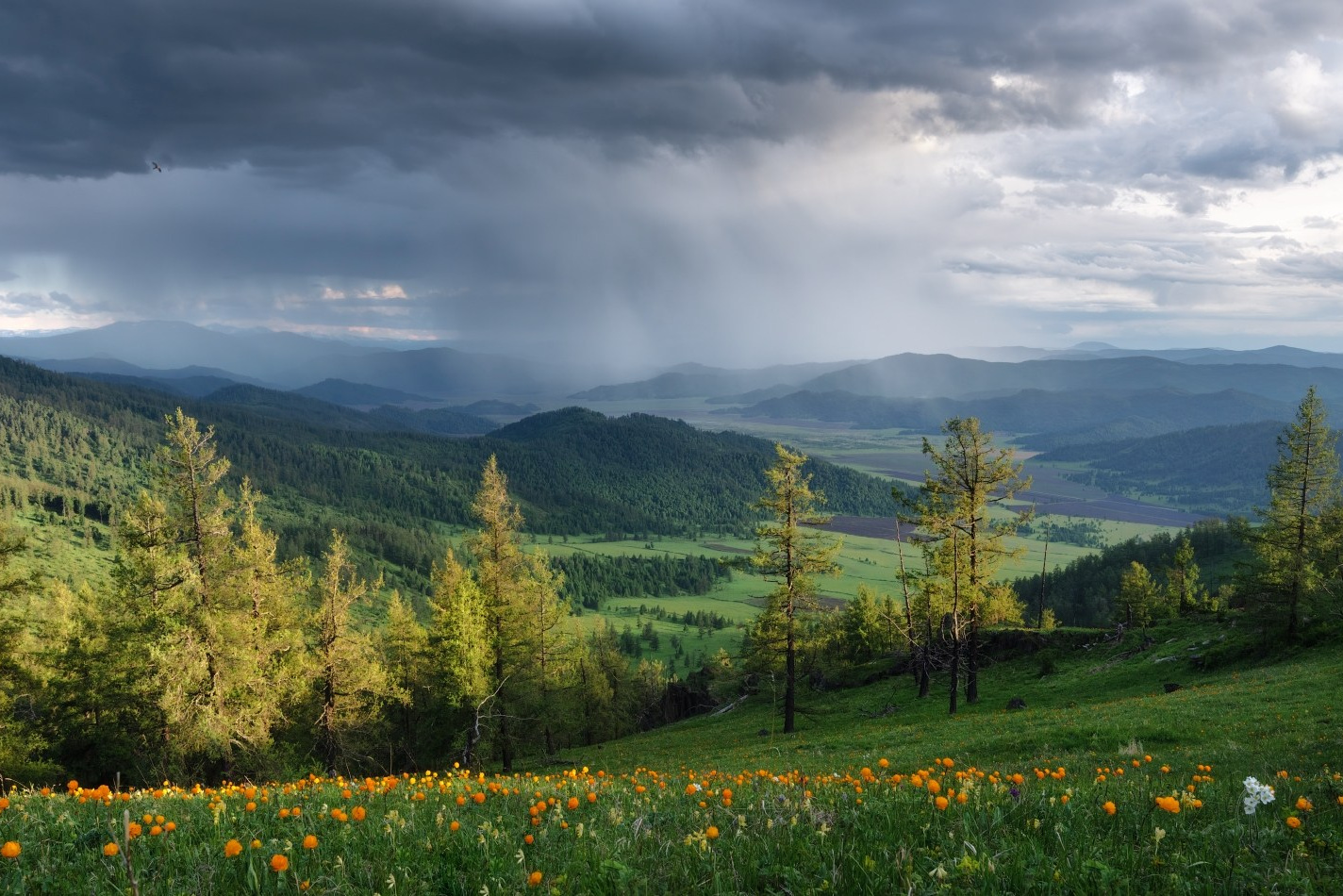 Фототур по Алтаю — Огоньки среднегорья и долина реки Аргут. Профессиональный пейзажный фотограф Алёна Рубан