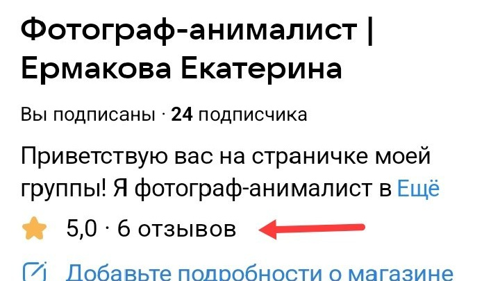 Обо мне. Фотограф-анималист|Ермакова Екатерина