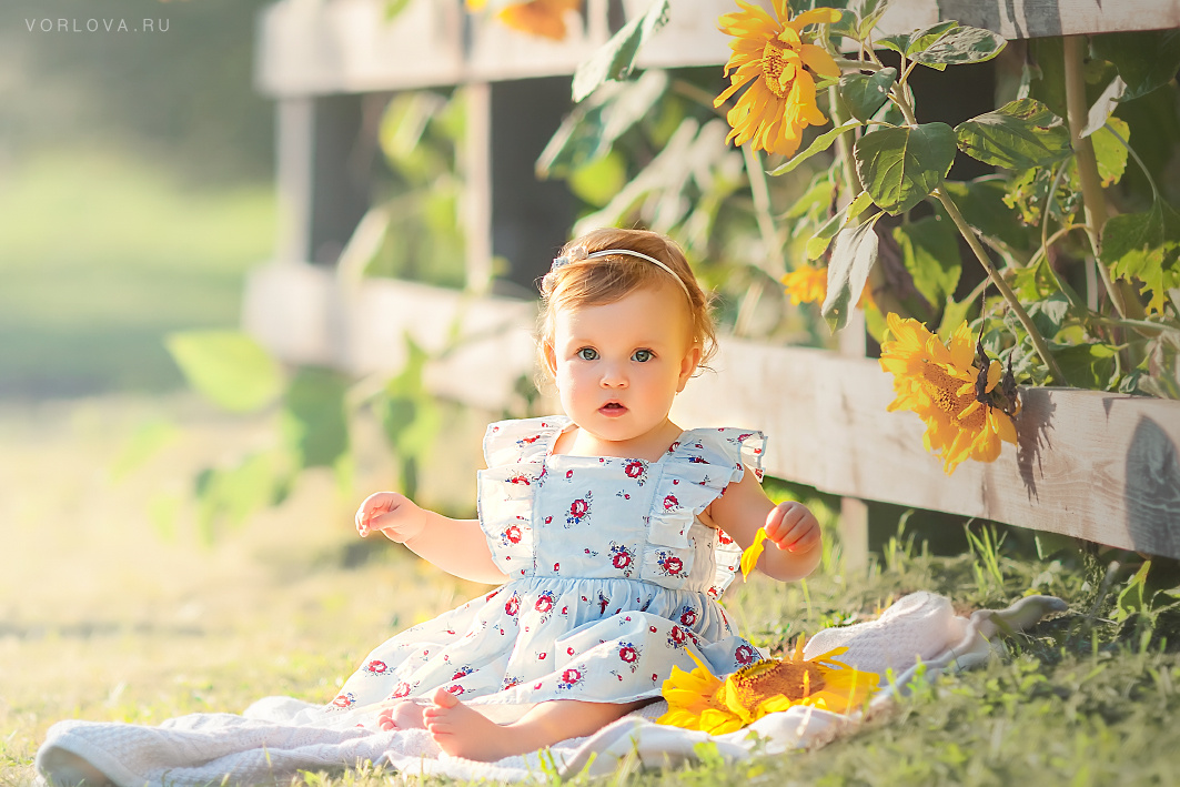 детская фотосессия а подсолнухах