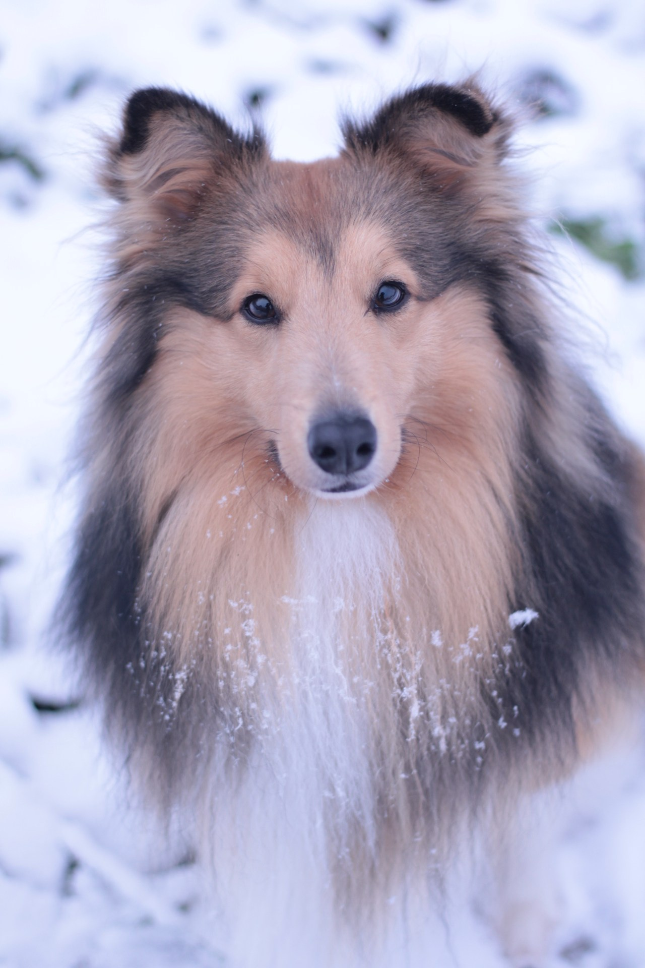 Услуги. Катя Попова|ЛайфСтайл фотограф