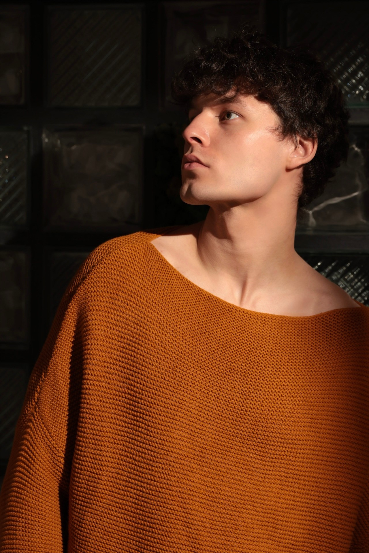 Лев Лекомцев модель