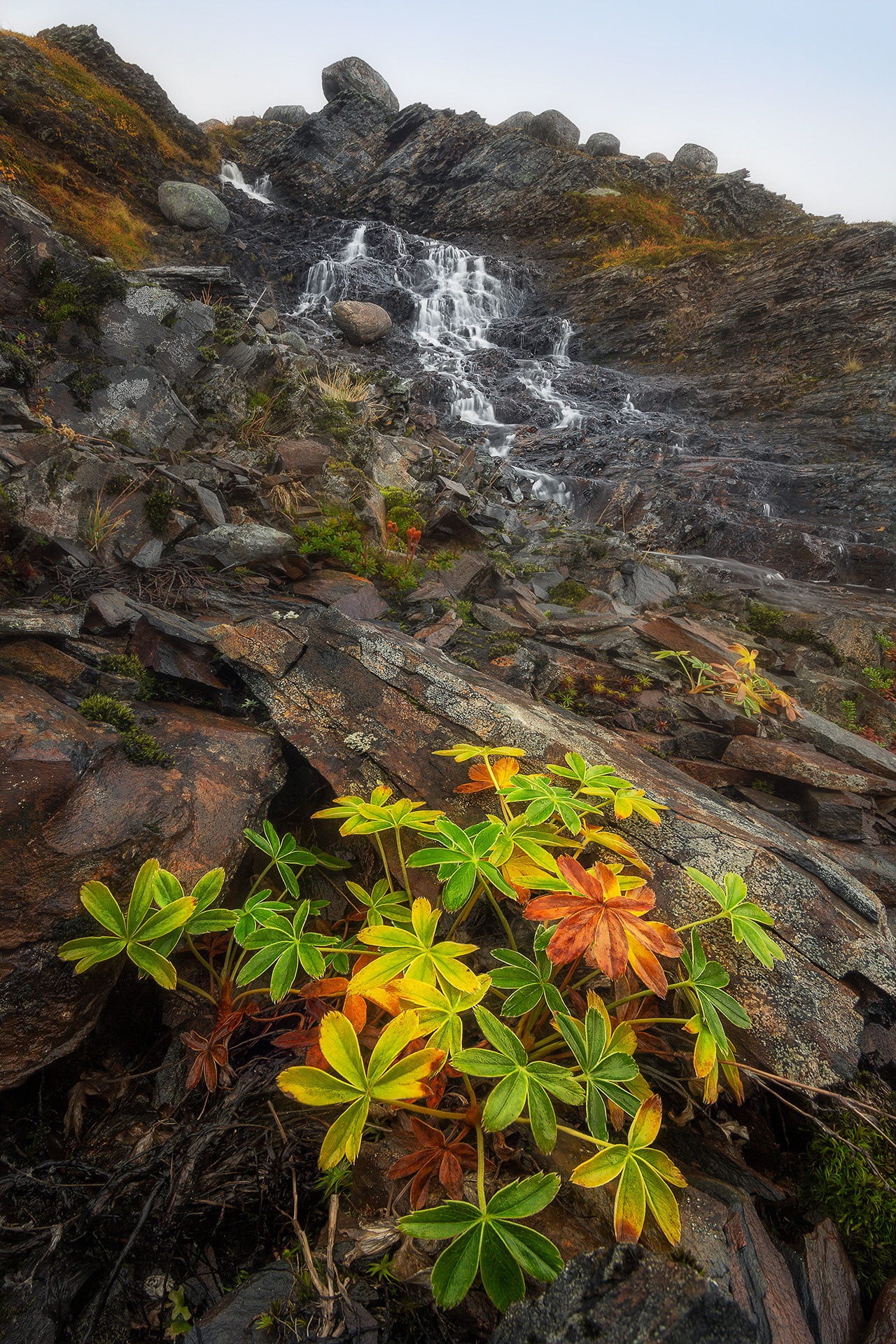 Статья. 5 советов по съёмке пейзажа. Фототуры и обучение пейзажной фотографии