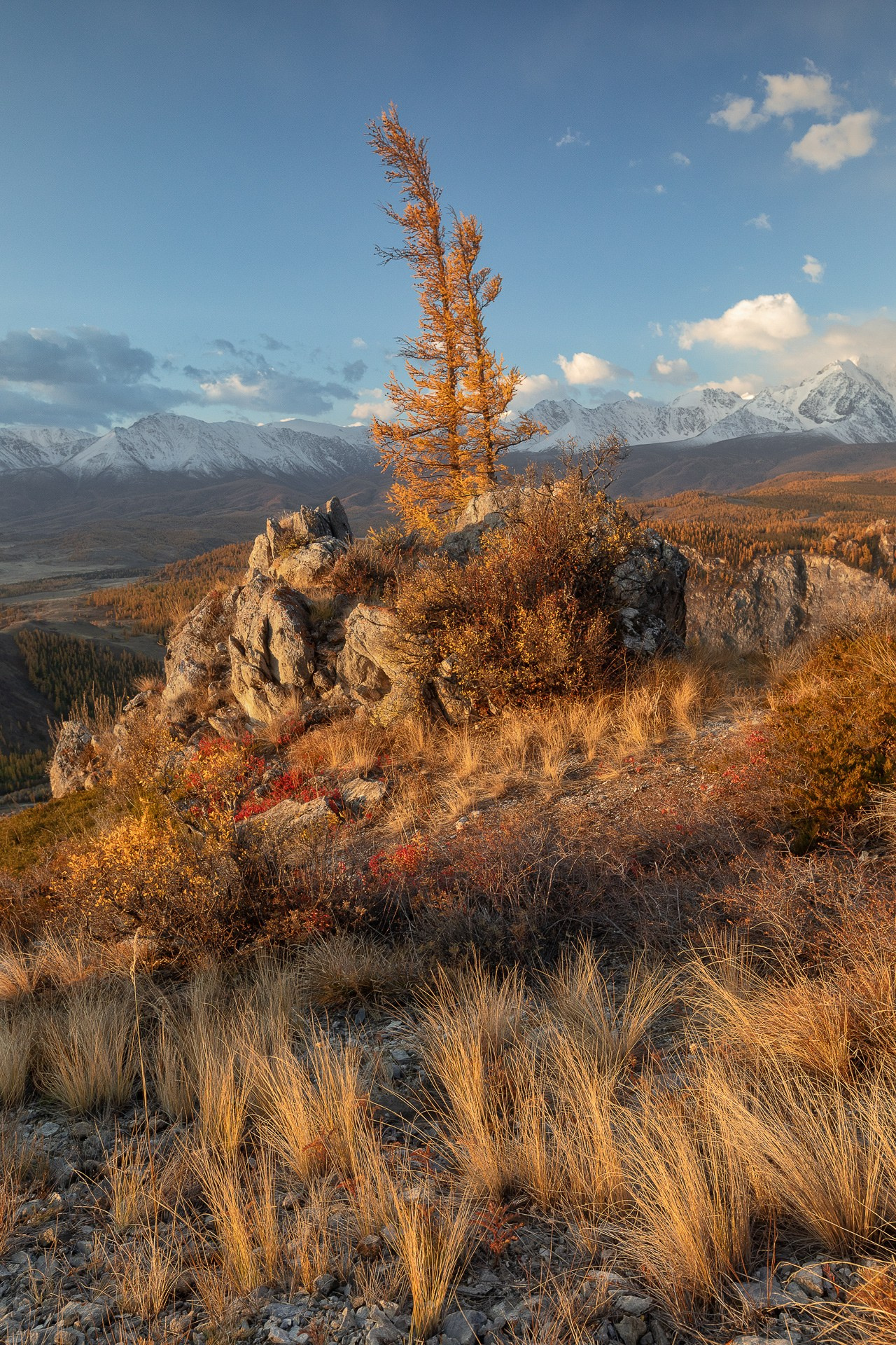 АЛТАЙ 2026. Фототуры и обучение пейзажной фотографии