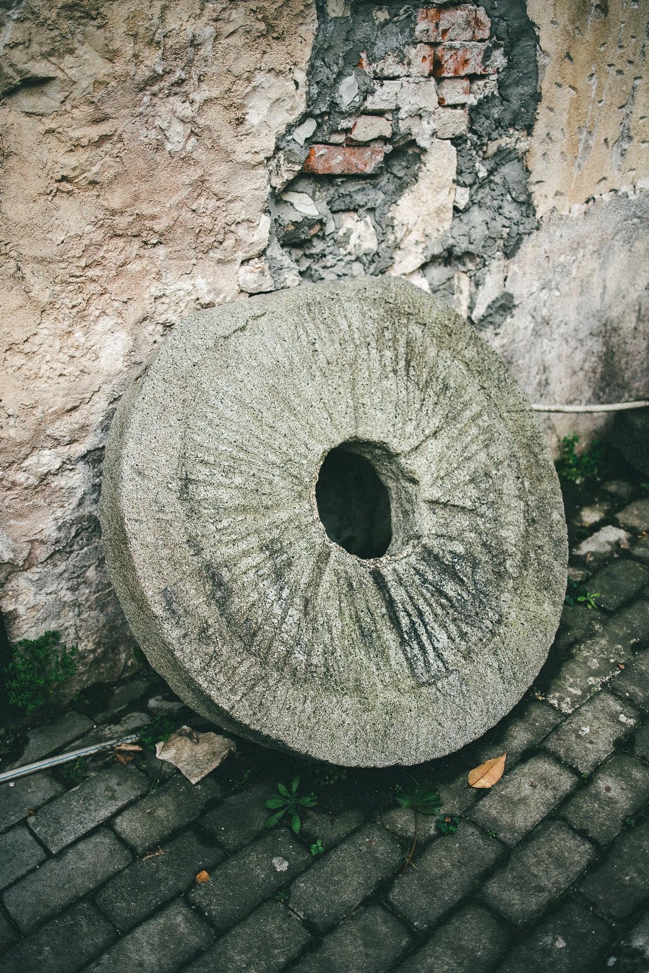 Абхазия. Фотограф Паша Максимов