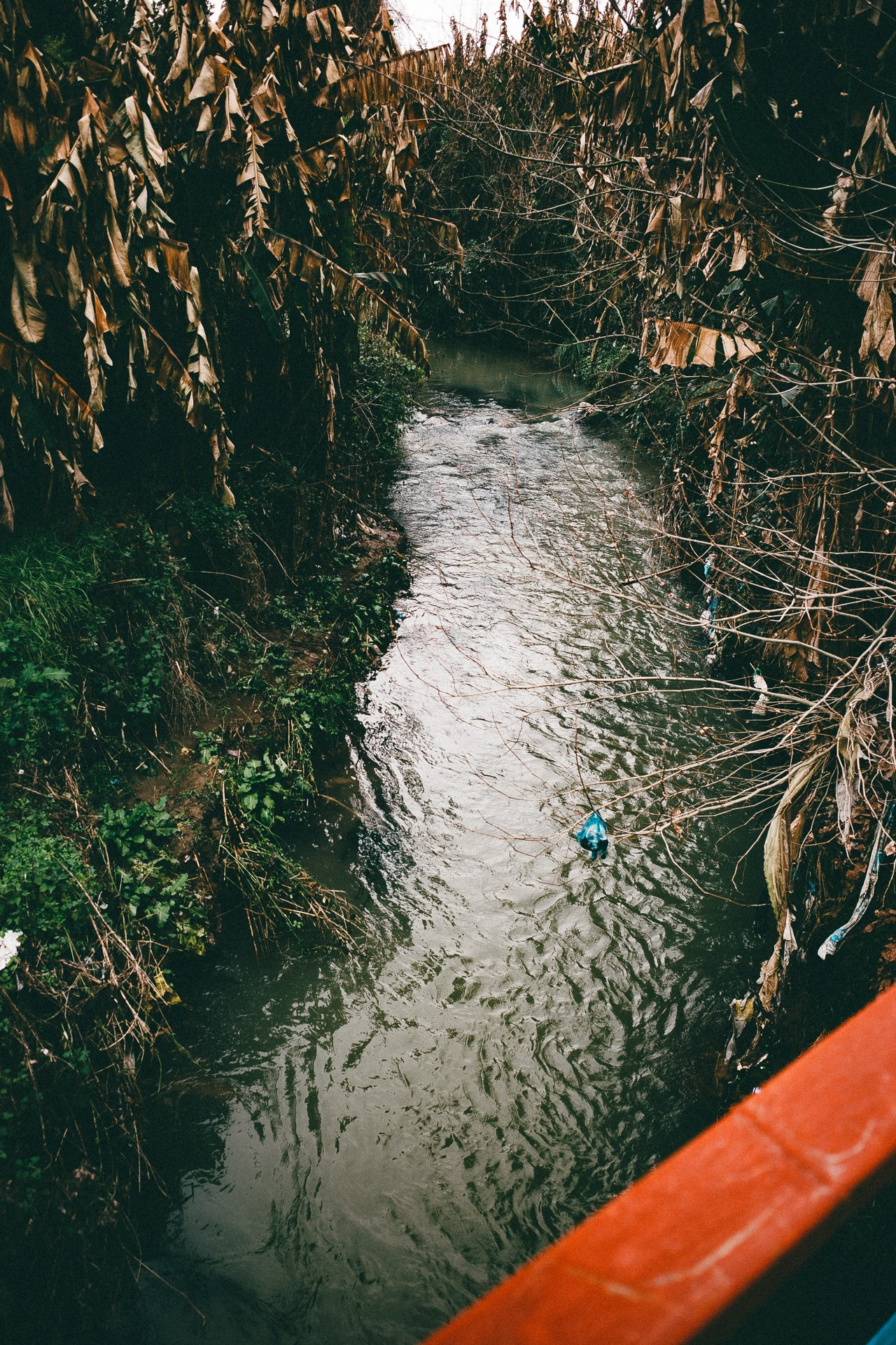 Абхазия. Фотограф Паша Максимов