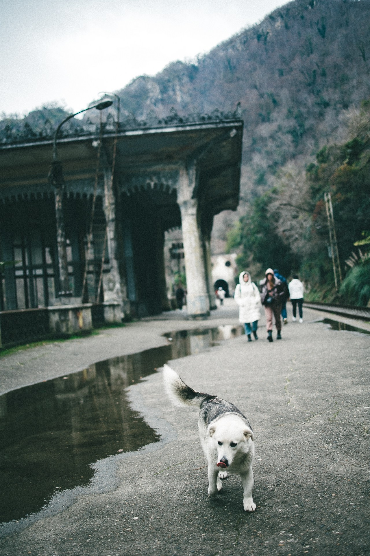 Абхазия. Фотограф Паша Максимов