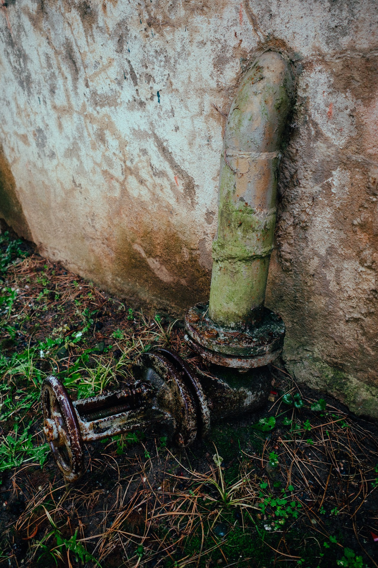Абхазия. Фотограф Паша Максимов