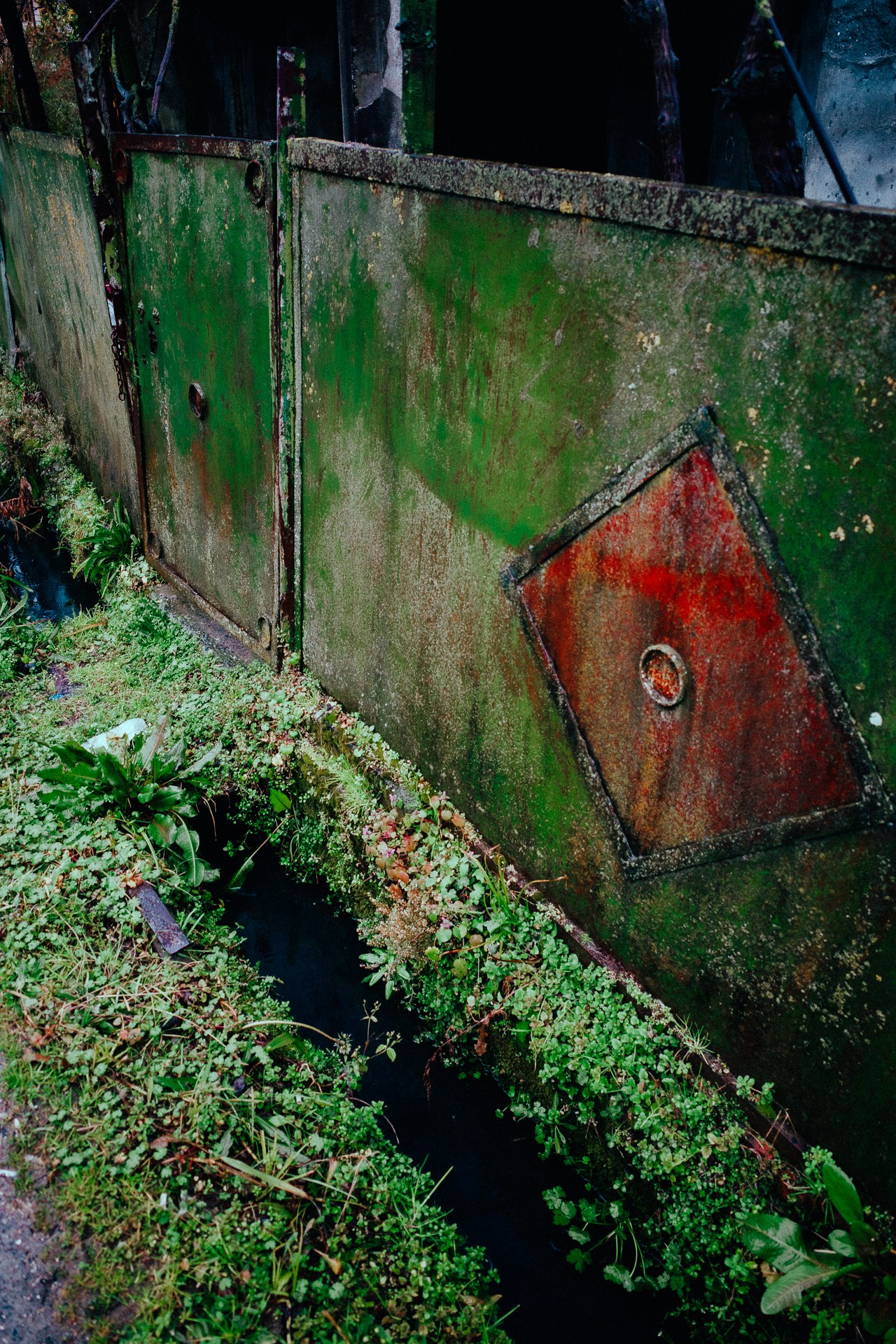 Абхазия. Фотограф Паша Максимов