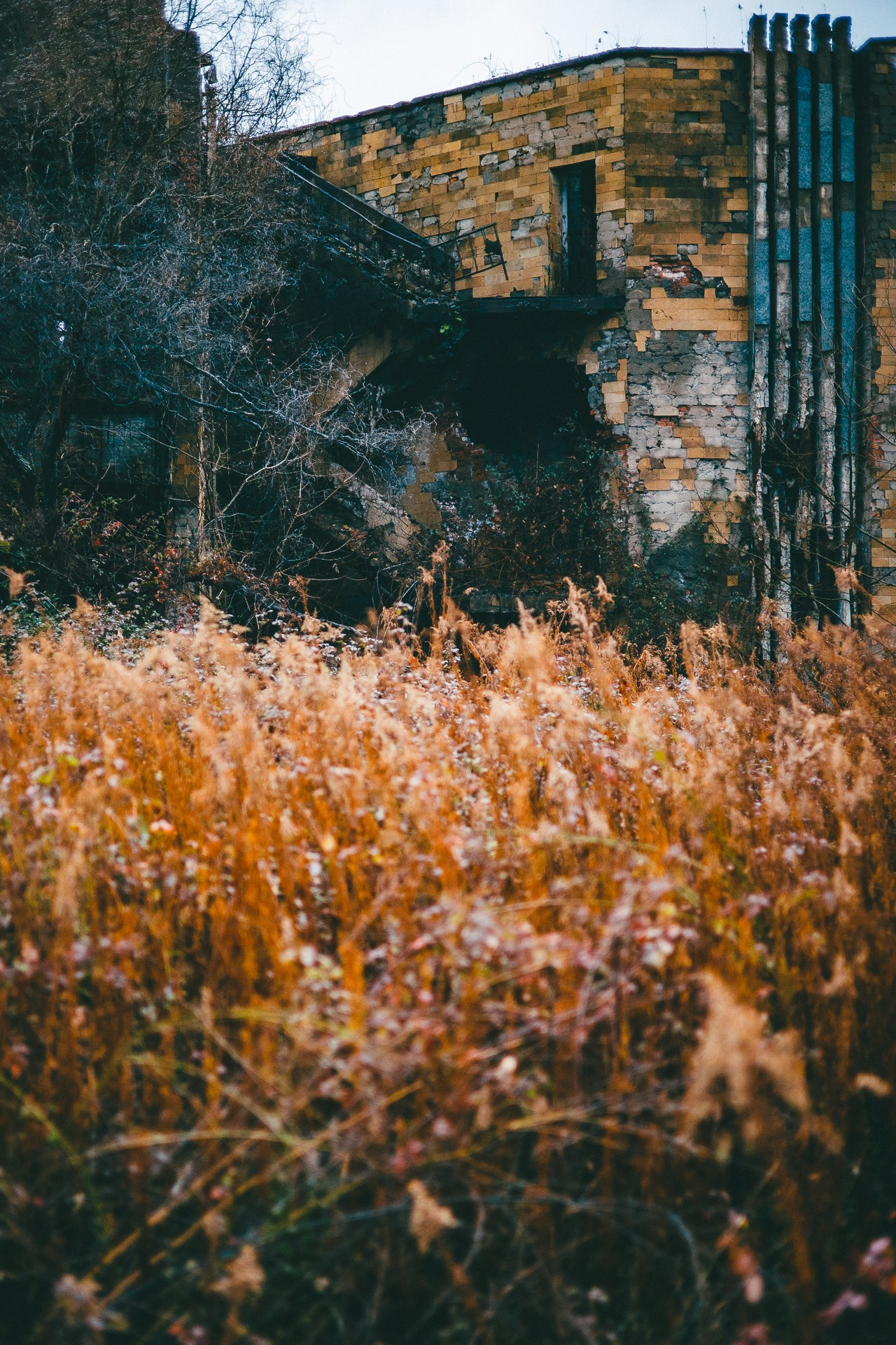 Абхазия. Фотограф Паша Максимов