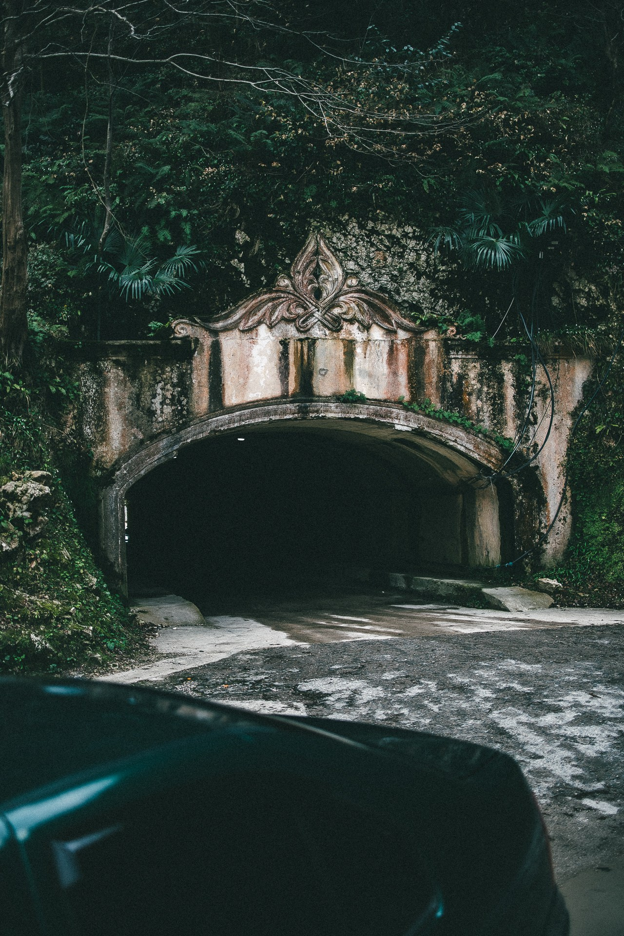 Абхазия. Фотограф Паша Максимов