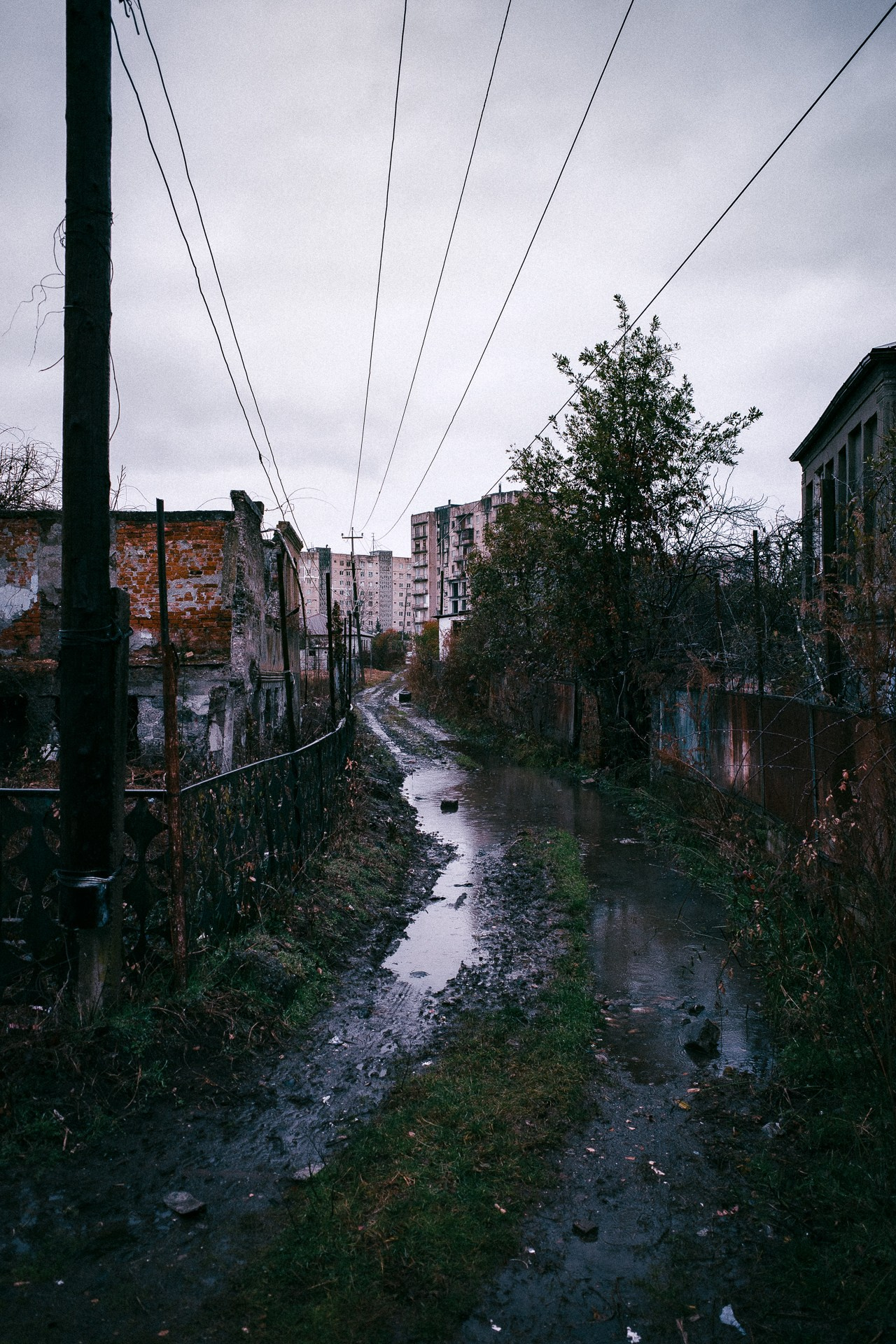 Абхазия. Фотограф Паша Максимов