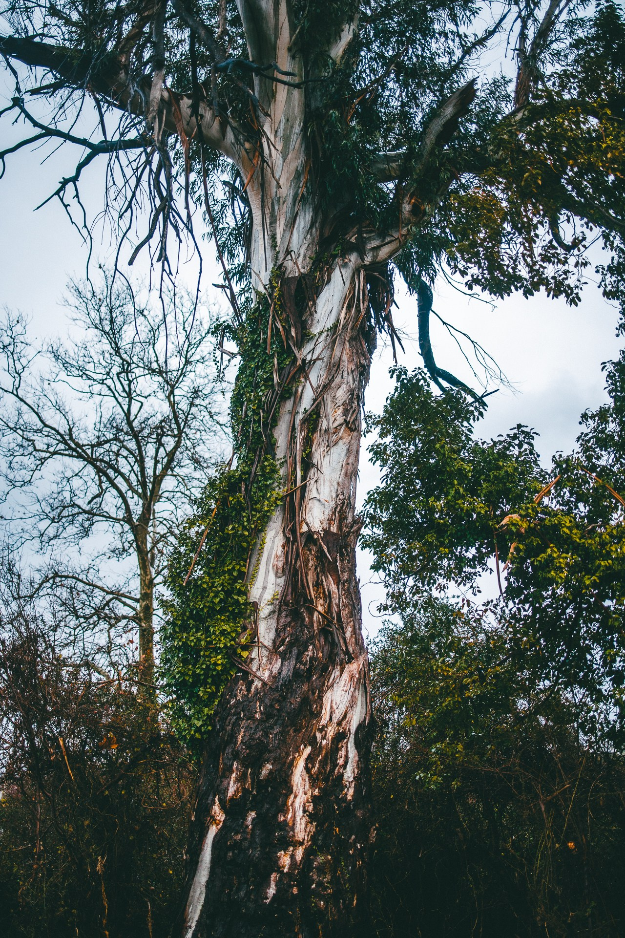 Абхазия. Фотограф Паша Максимов