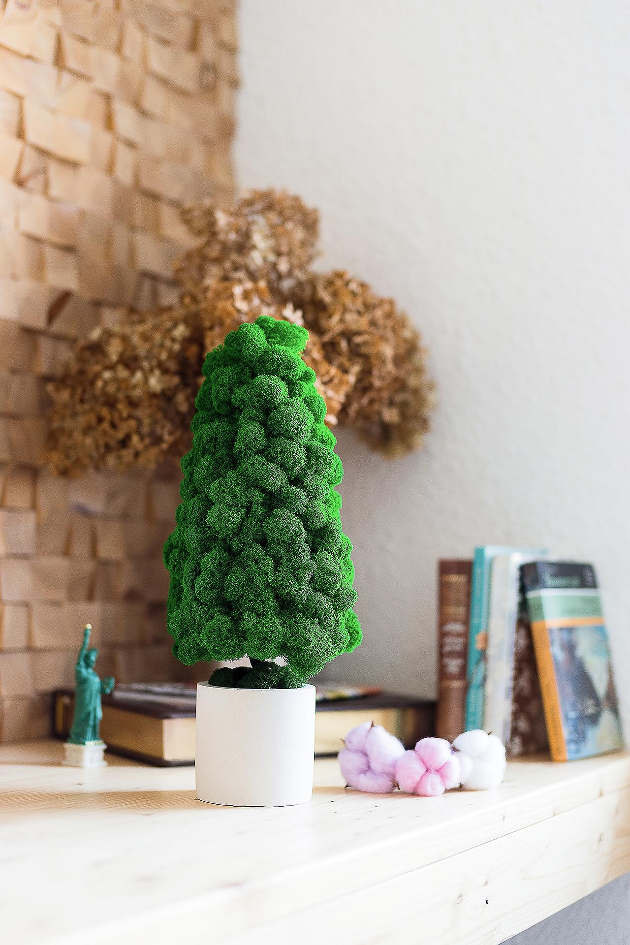 Фуд фото для вас и вашего бизнеса