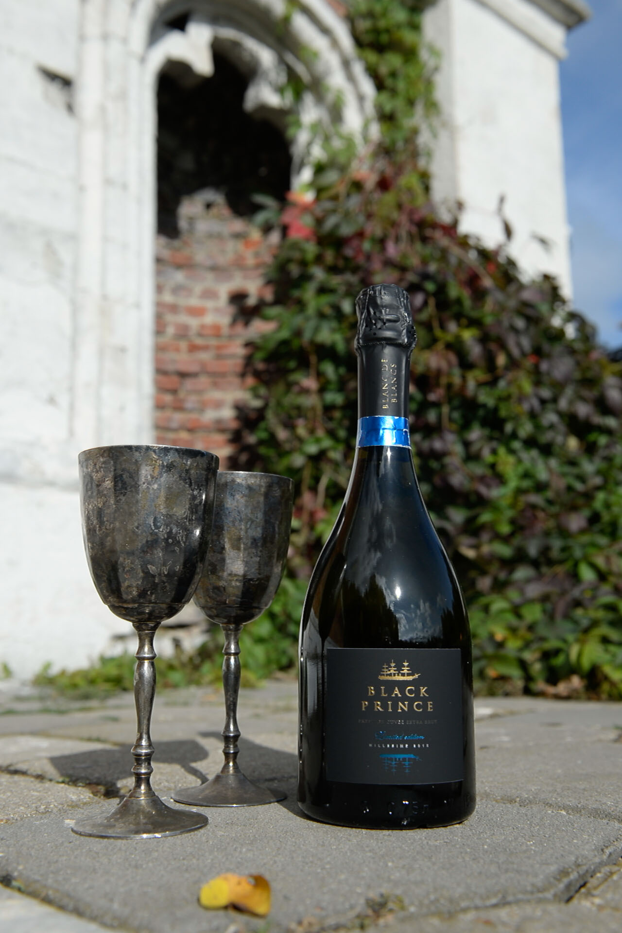 Обтравка. Качественная ретушь фотографий Вера Сартакова