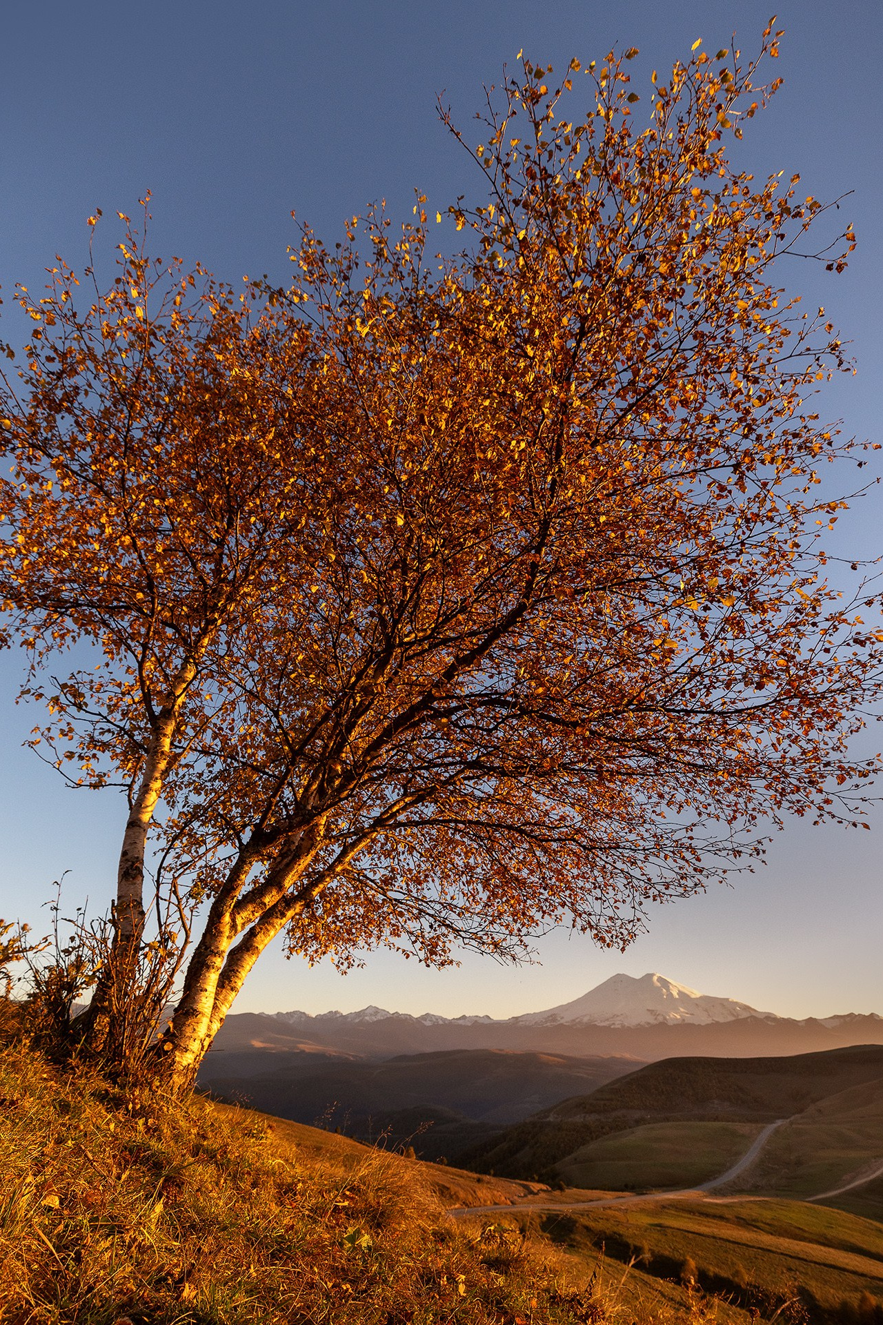 Осеннее приэльбрусье 2026 | Фотограф Дмитрий Купрацевич. Дмитрий Купрацевич профессиональный пейзажный и travel-фотограф