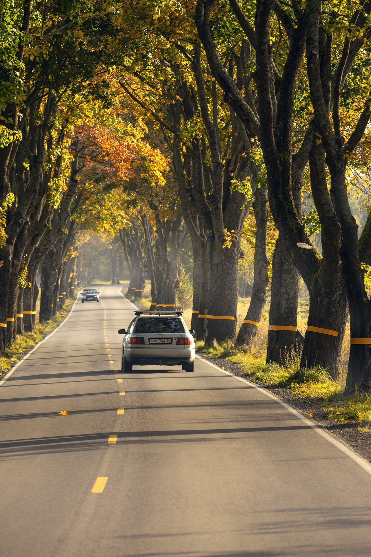 Калининградская область 2025| Фотограф Дмитрий Купрацевич. Дмитрий Купрацевич профессиональный пейзажный и travel-фотограф