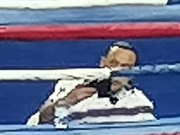 Рисунок телефона. Фотограф Екатерина Веденина