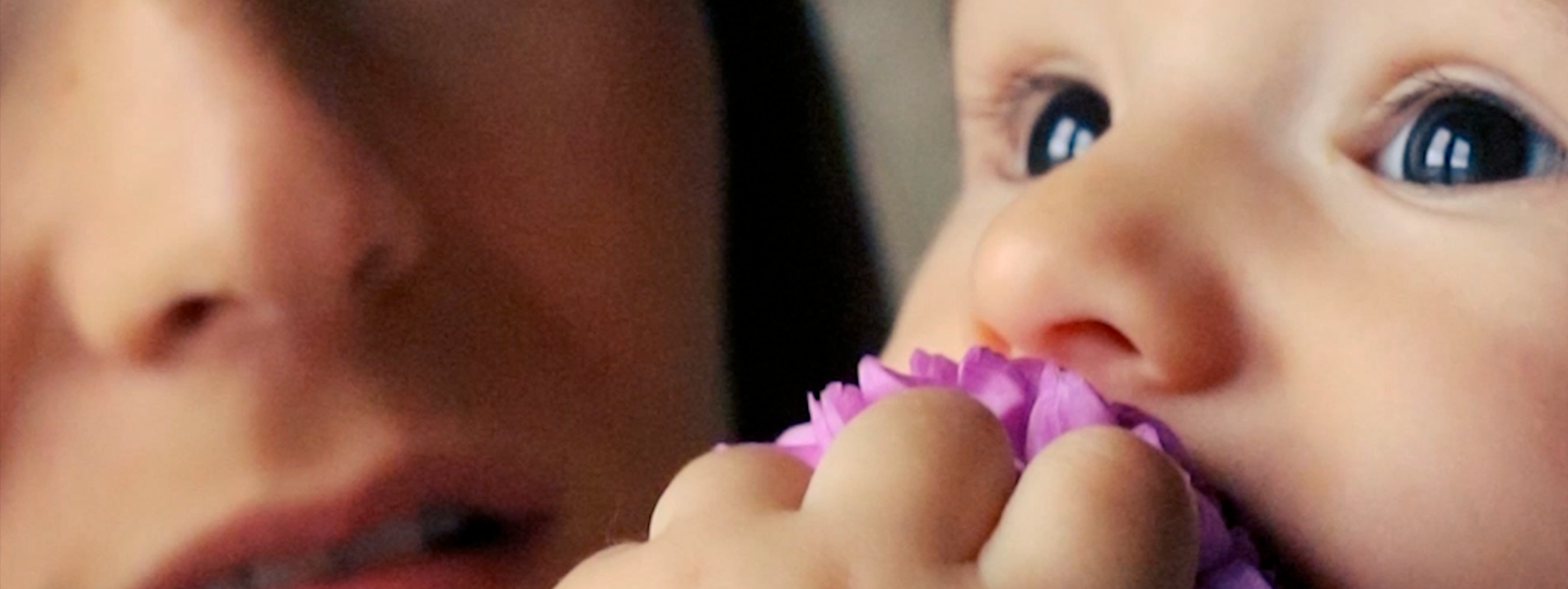 Портфолио. Видеограф Новосибирск Сибирь Алтай. Илья Натворил