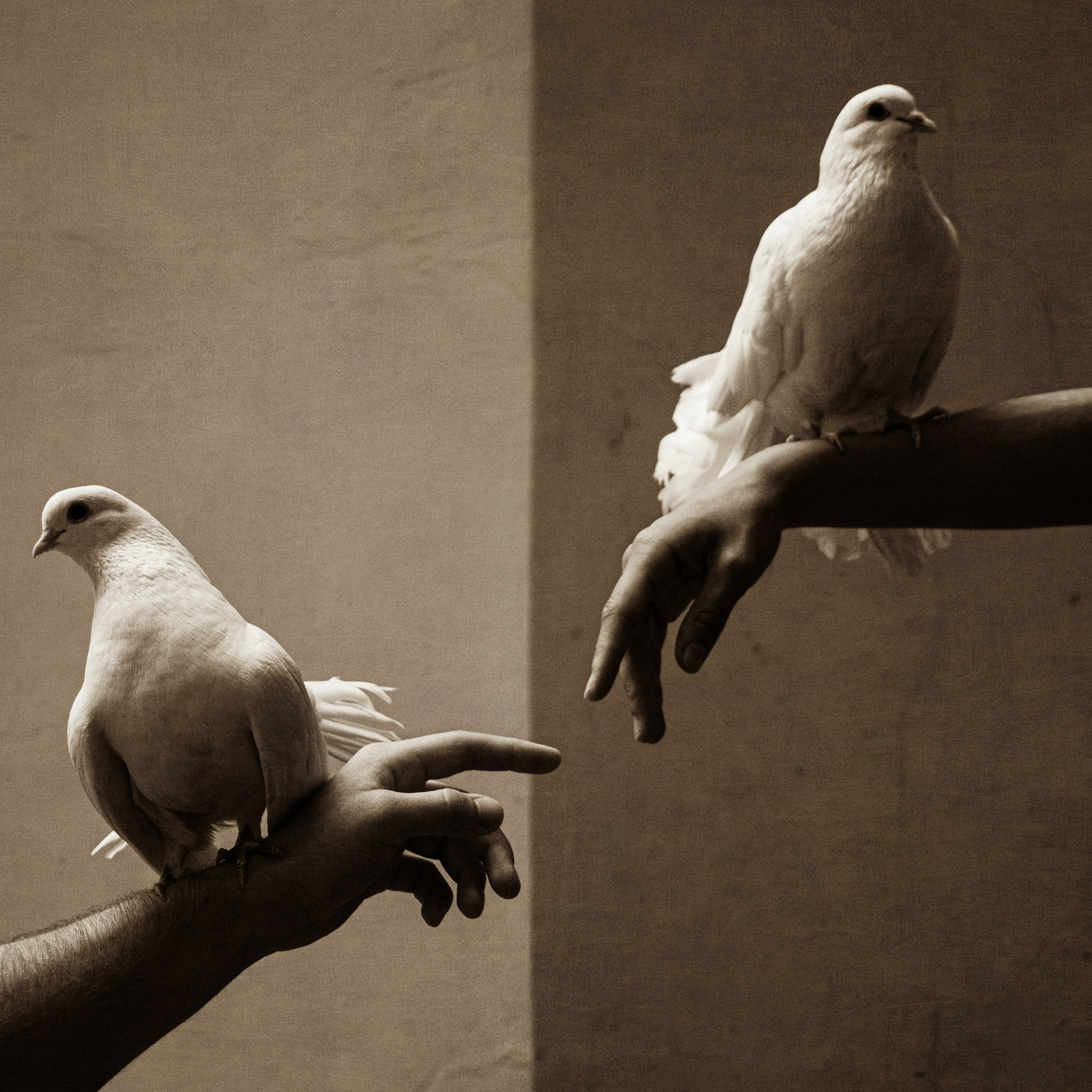 Петербургский фотограф Елизавета Мордвина-Щодро
