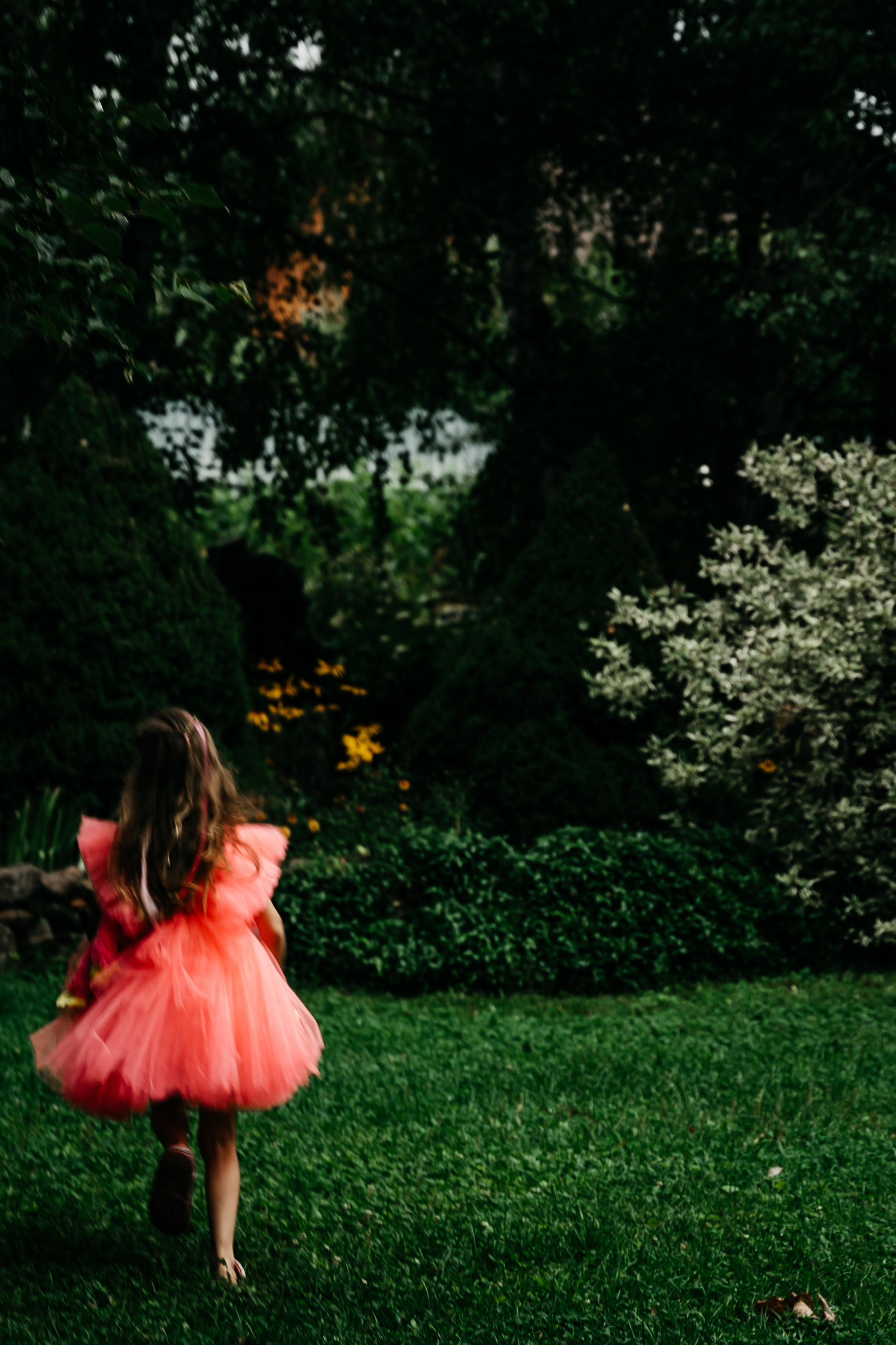 Услуги и цены. Семейный фотограф в Москве Полина Курданина