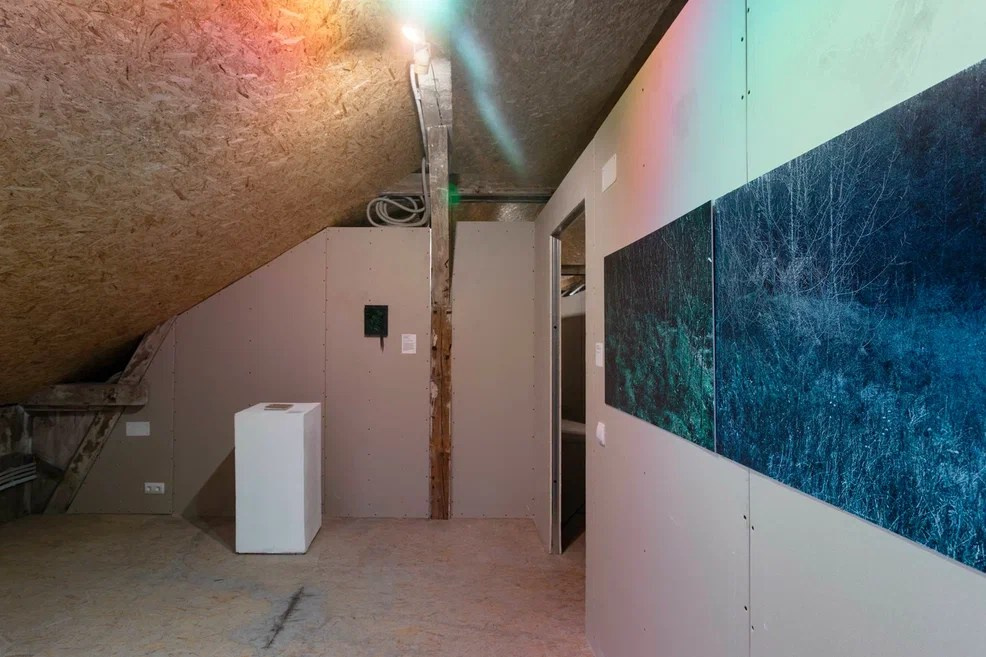 ВЫСТАВКА «ЛЕС — САД» АРТ-ПРОСТРАНСТВО BARN, КАЛИНИНГРАД 22 МАРТА — 05 МАЯ 2024. MAIN