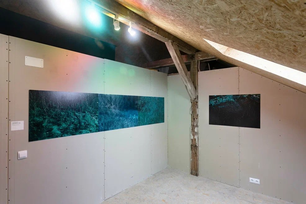 ВЫСТАВКА «ЛЕС — САД» АРТ-ПРОСТРАНСТВО BARN, КАЛИНИНГРАД 22 МАРТА — 05 МАЯ 2024. MAIN