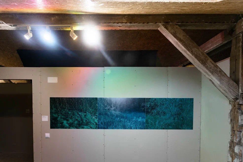 ВЫСТАВКА «ЛЕС — САД» АРТ-ПРОСТРАНСТВО BARN, КАЛИНИНГРАД 22 МАРТА — 05 МАЯ 2024. MAIN