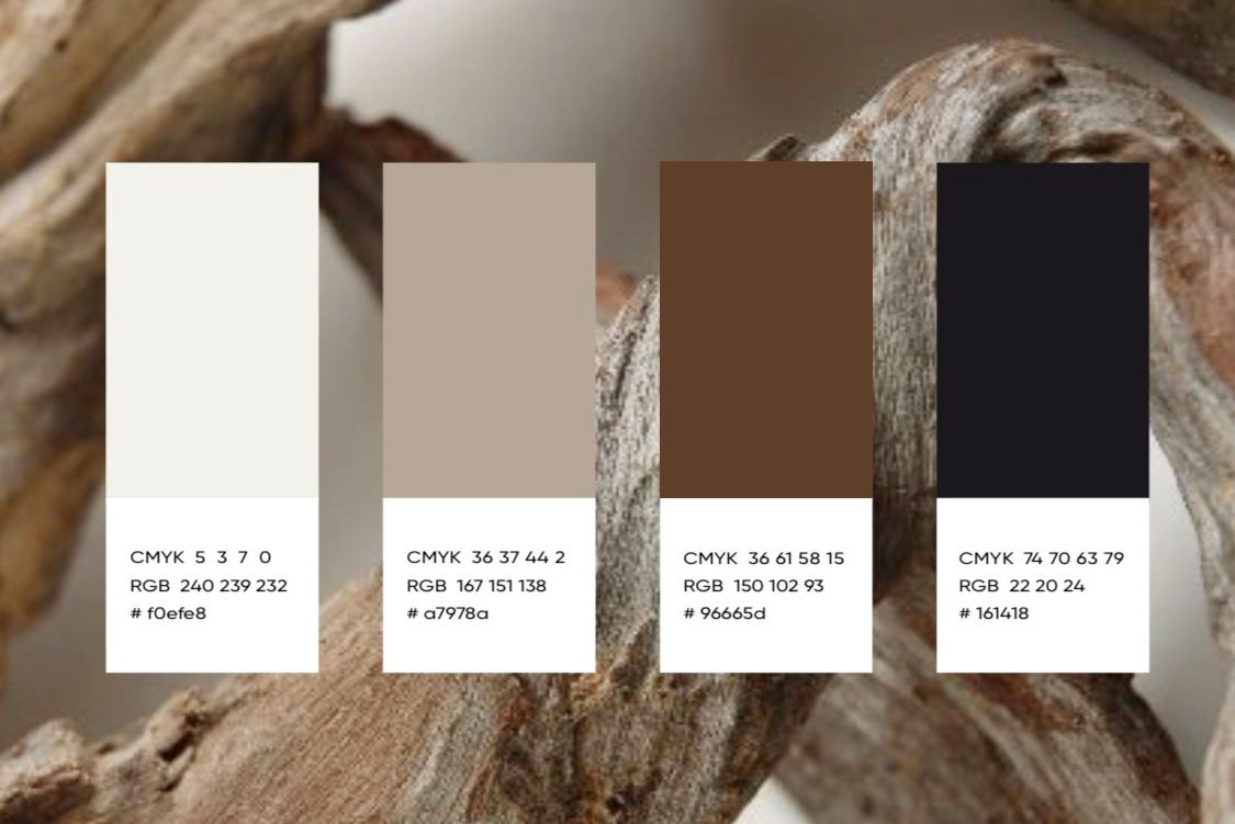 Цветовая палитра для будущей съемки