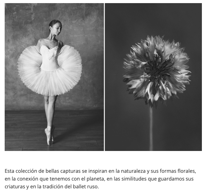 Press — Cultura Enquieta