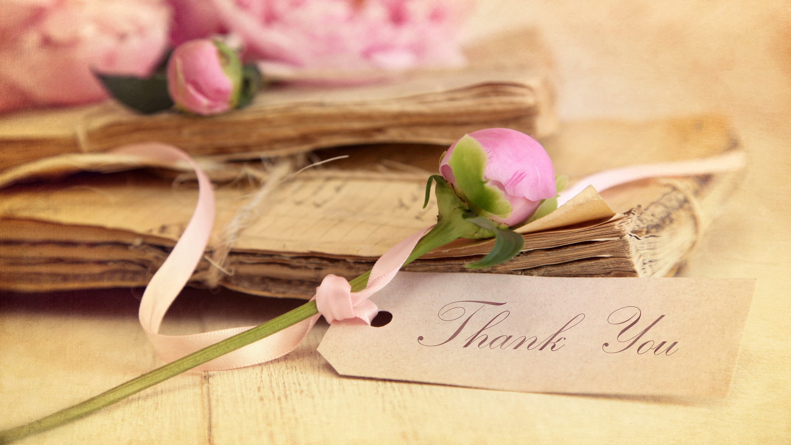 Бонусы. Фотограф Амалия Ахмедова, Калининград