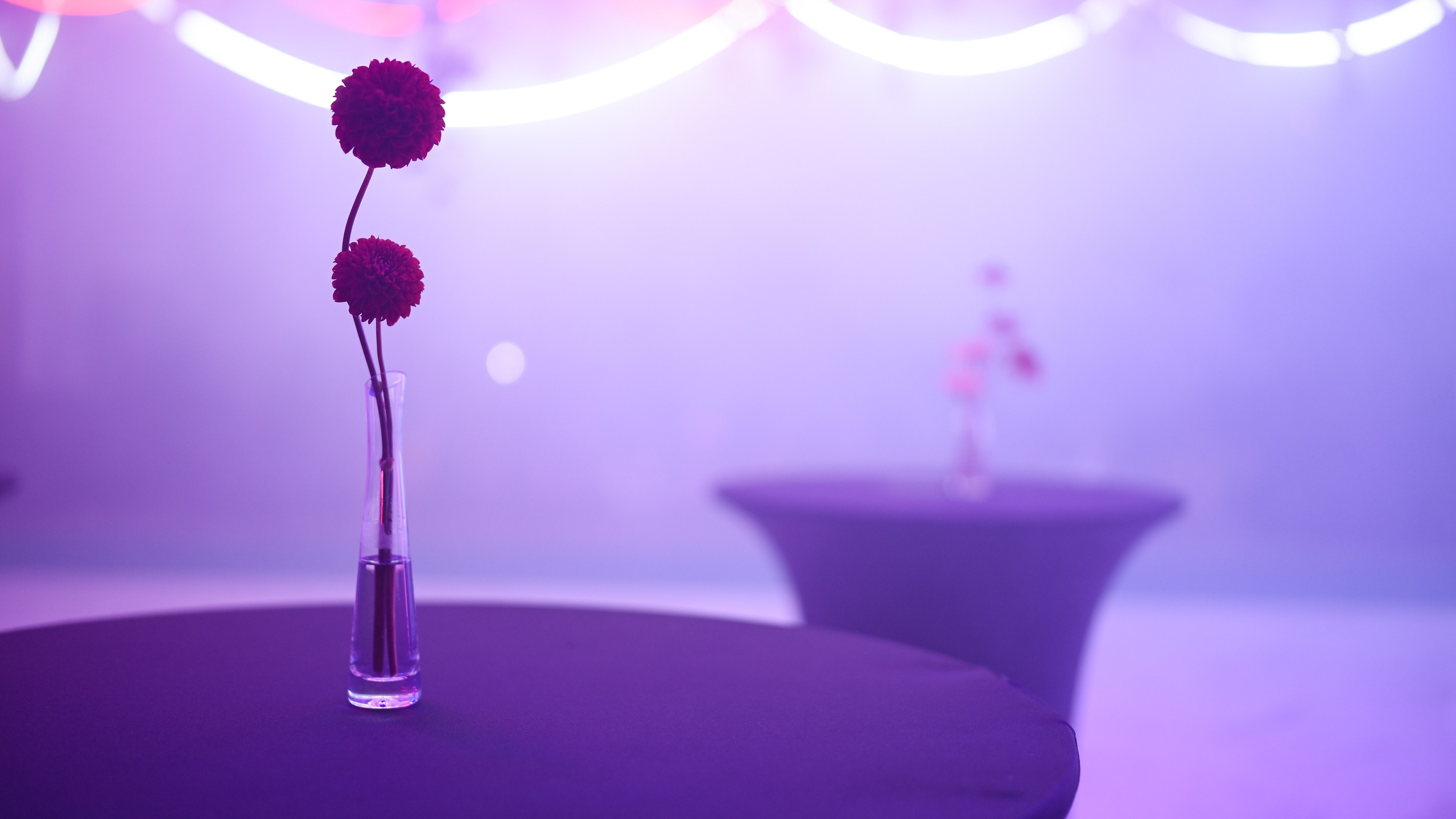 Услуги. Портфолио