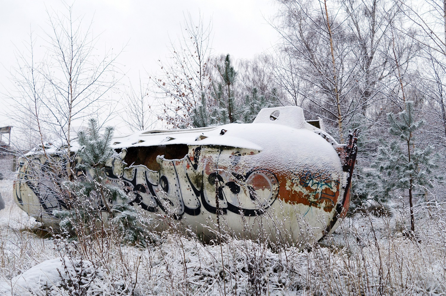 Кураторский проект «Инородное тело»