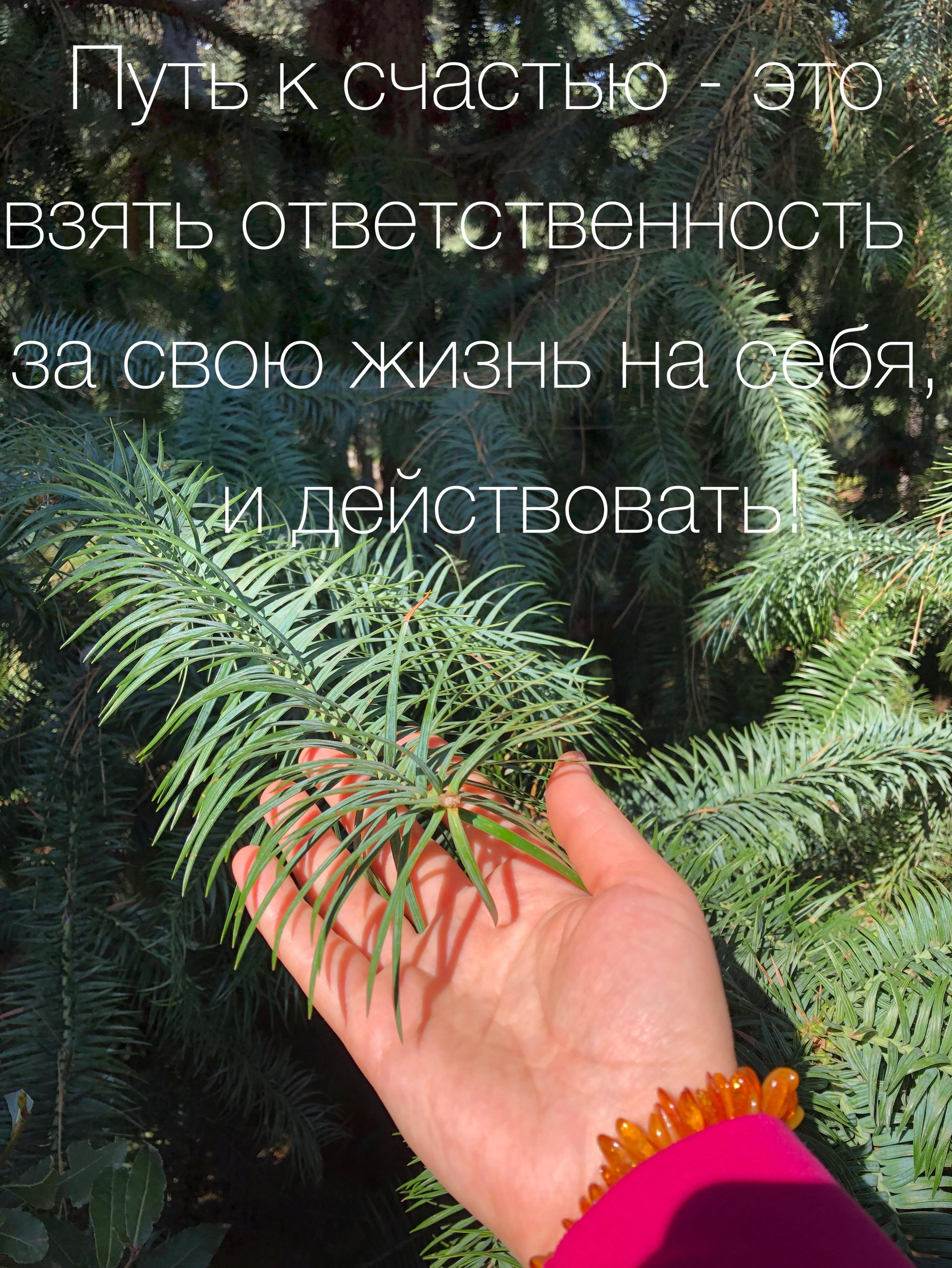 Контакты. Цифровой психолог | Психосоматолог Мария Гусева