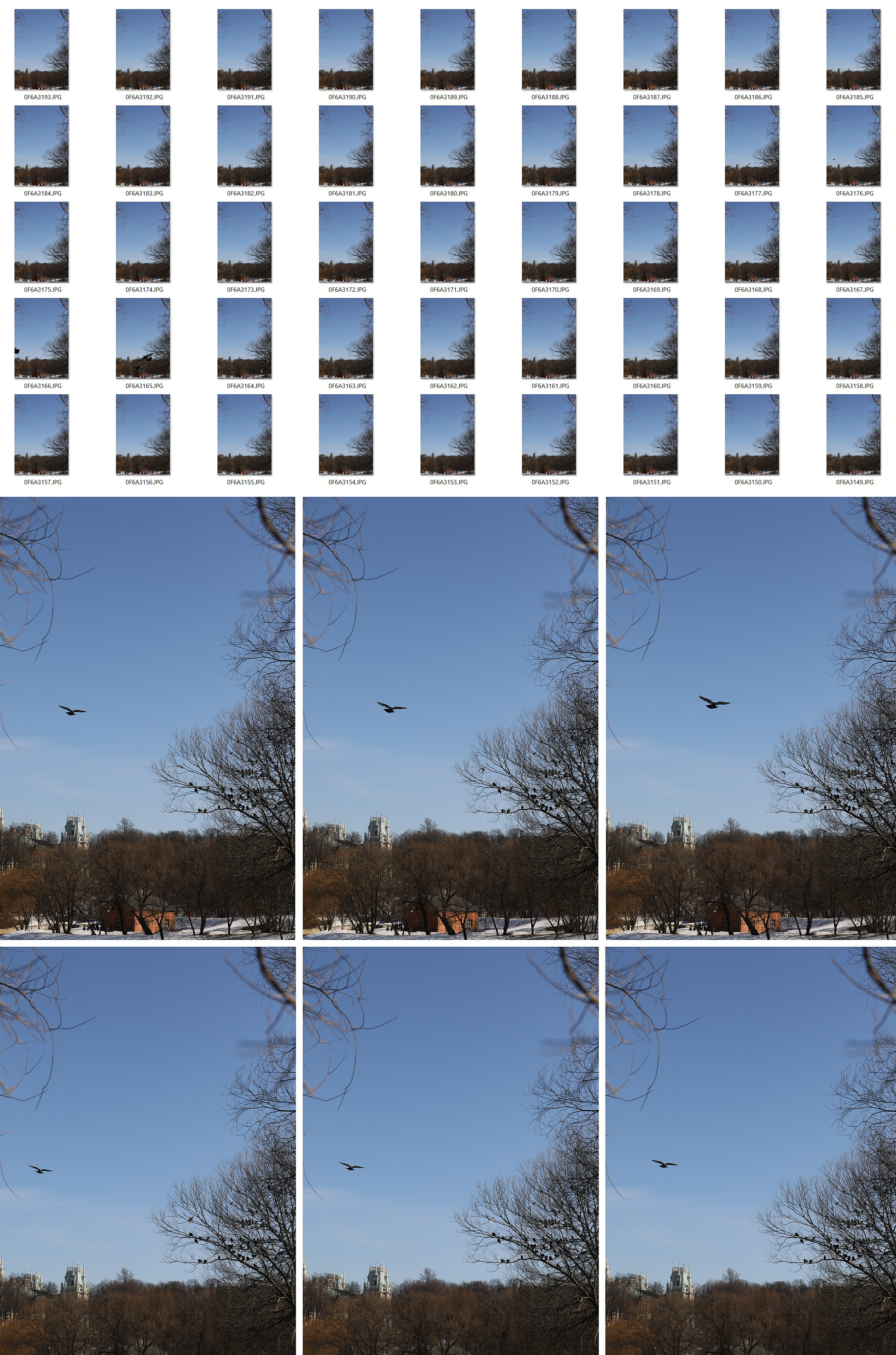 Мультимедийный проект «Траектория мегаполиса». Павел Иванов — фотохудожник