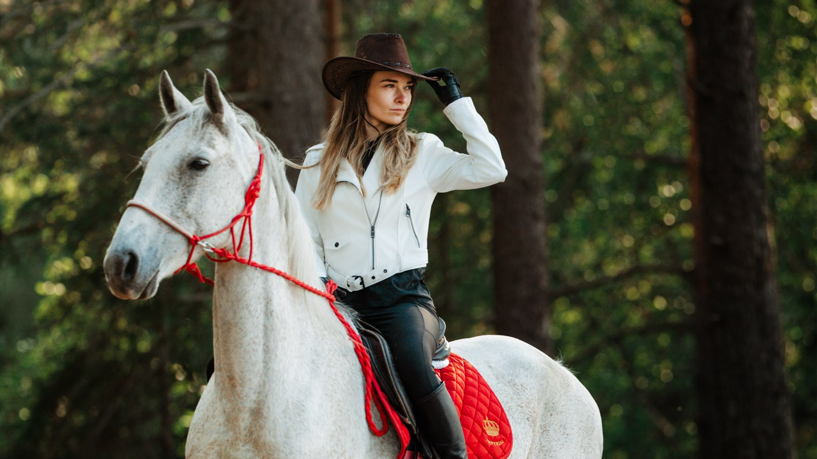 Фотосессии с лошадьми в Петрозаводске. Фотограф Варвара Ермоленко
