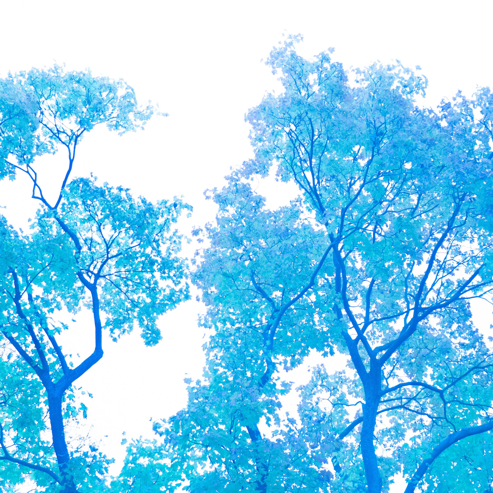 Сотрудничество. Виктория Князева| фотограф из Санкт-Петербурга