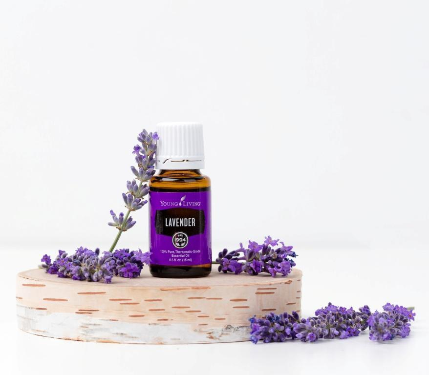 Масло лаванды. VDAO.RU — исцеляющие практики