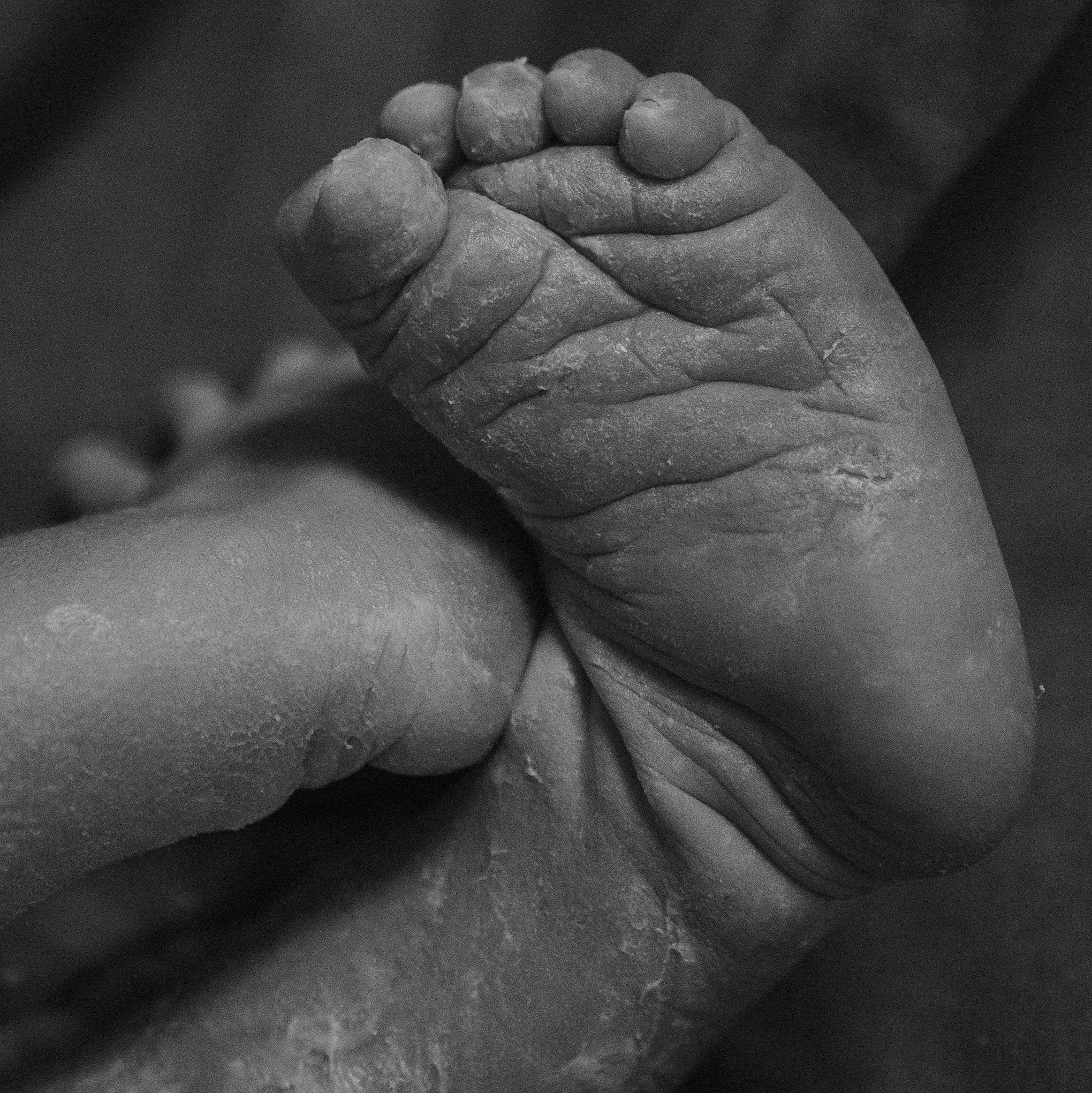 Семейная и персональная фотосессия. Фотограф Авилова Дарья ● Тюмень● Съемка больших семей ●Архив поколений